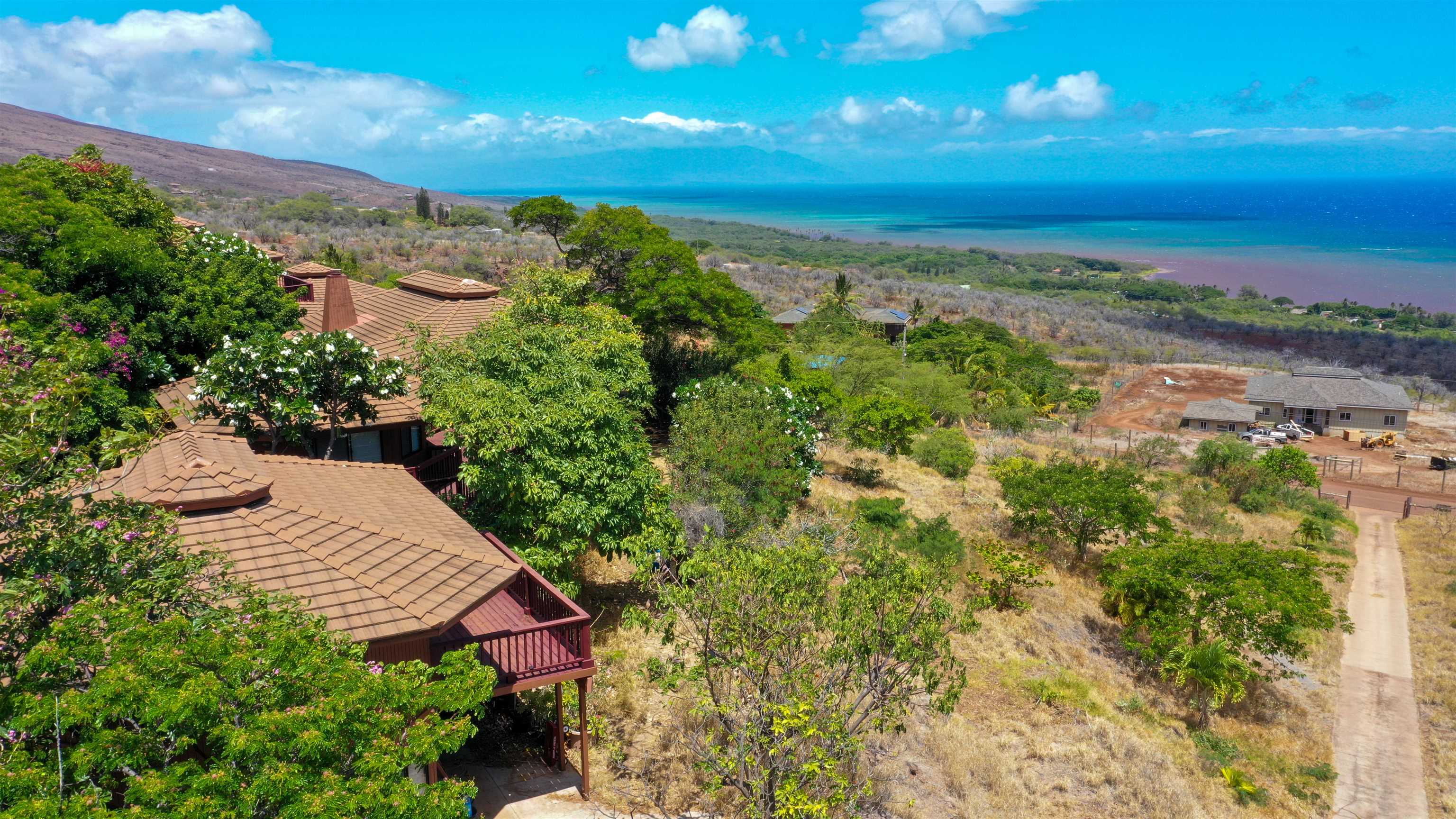 441  Uluanui Rd , Molokai home - photo 3 of 46