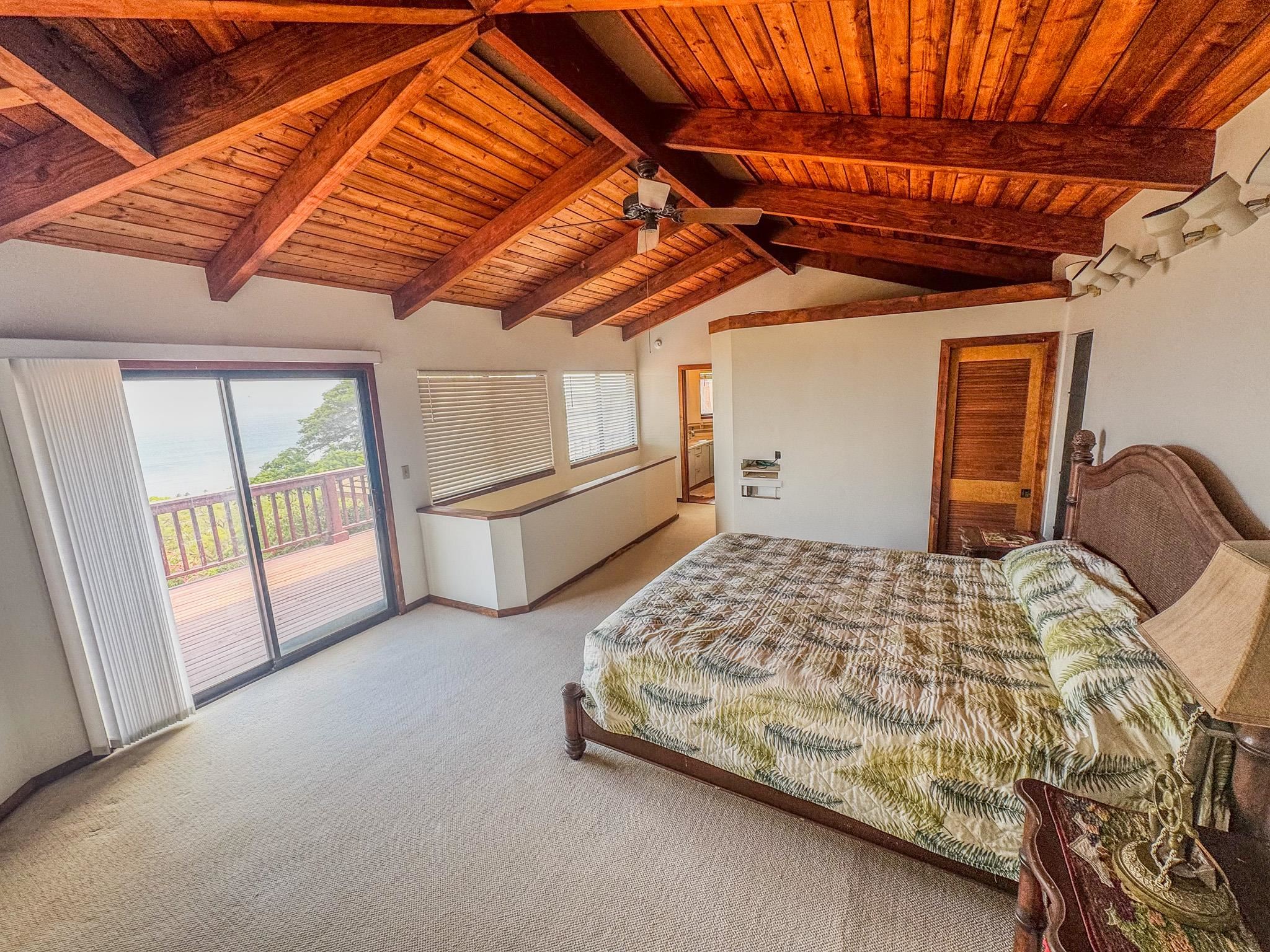 441  Uluanui Rd , Molokai home - photo 26 of 47