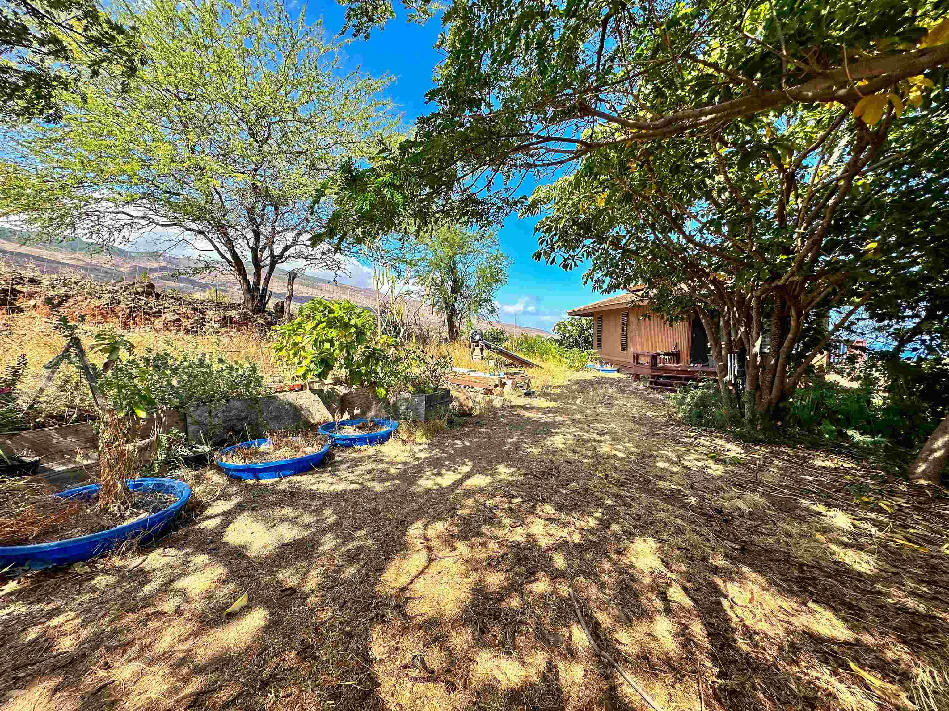 441  Uluanui Rd , Molokai home - photo 29 of 46