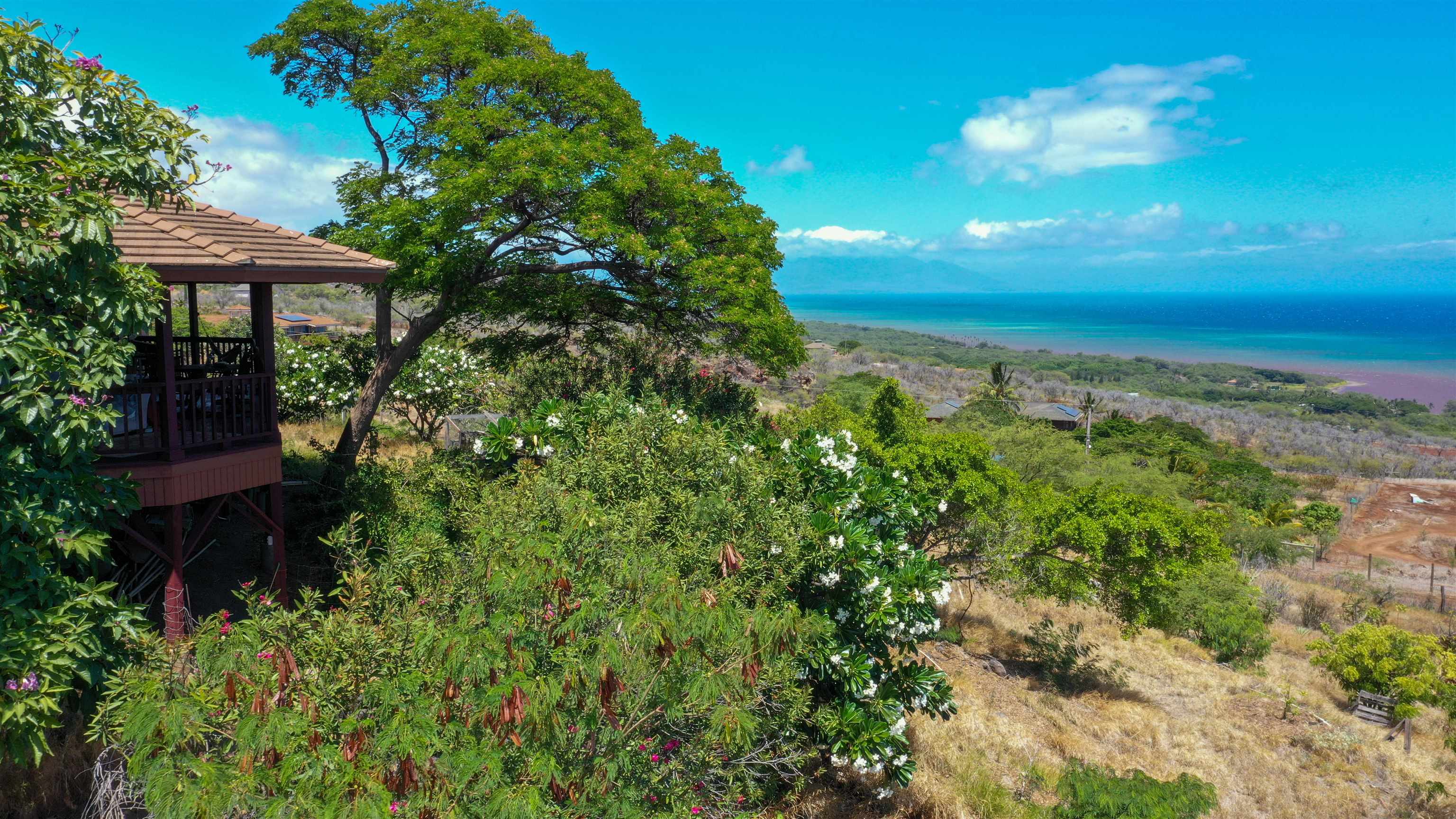 441  Uluanui Rd , Molokai home - photo 30 of 46