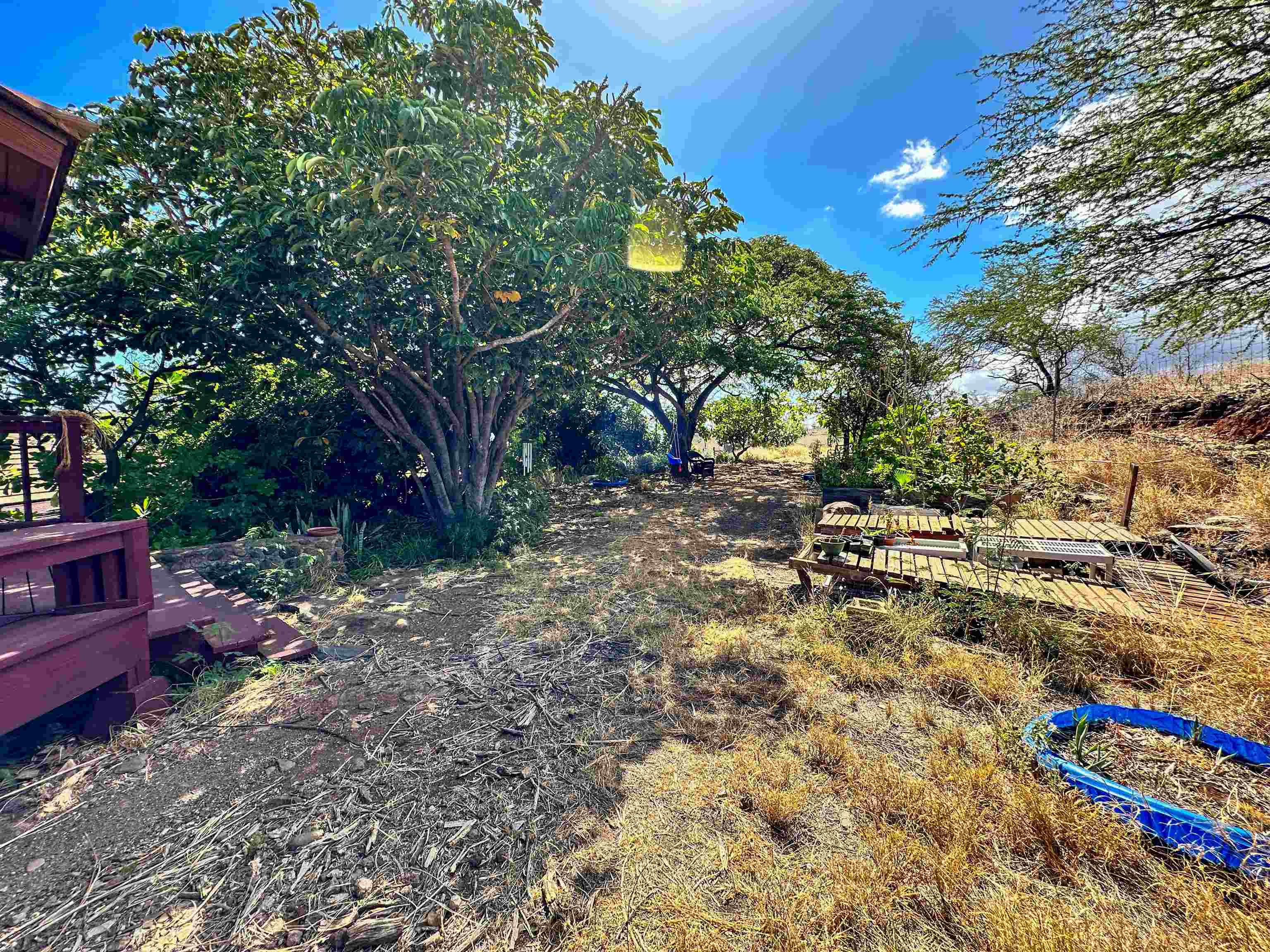 441  Uluanui Rd , Molokai home - photo 31 of 47