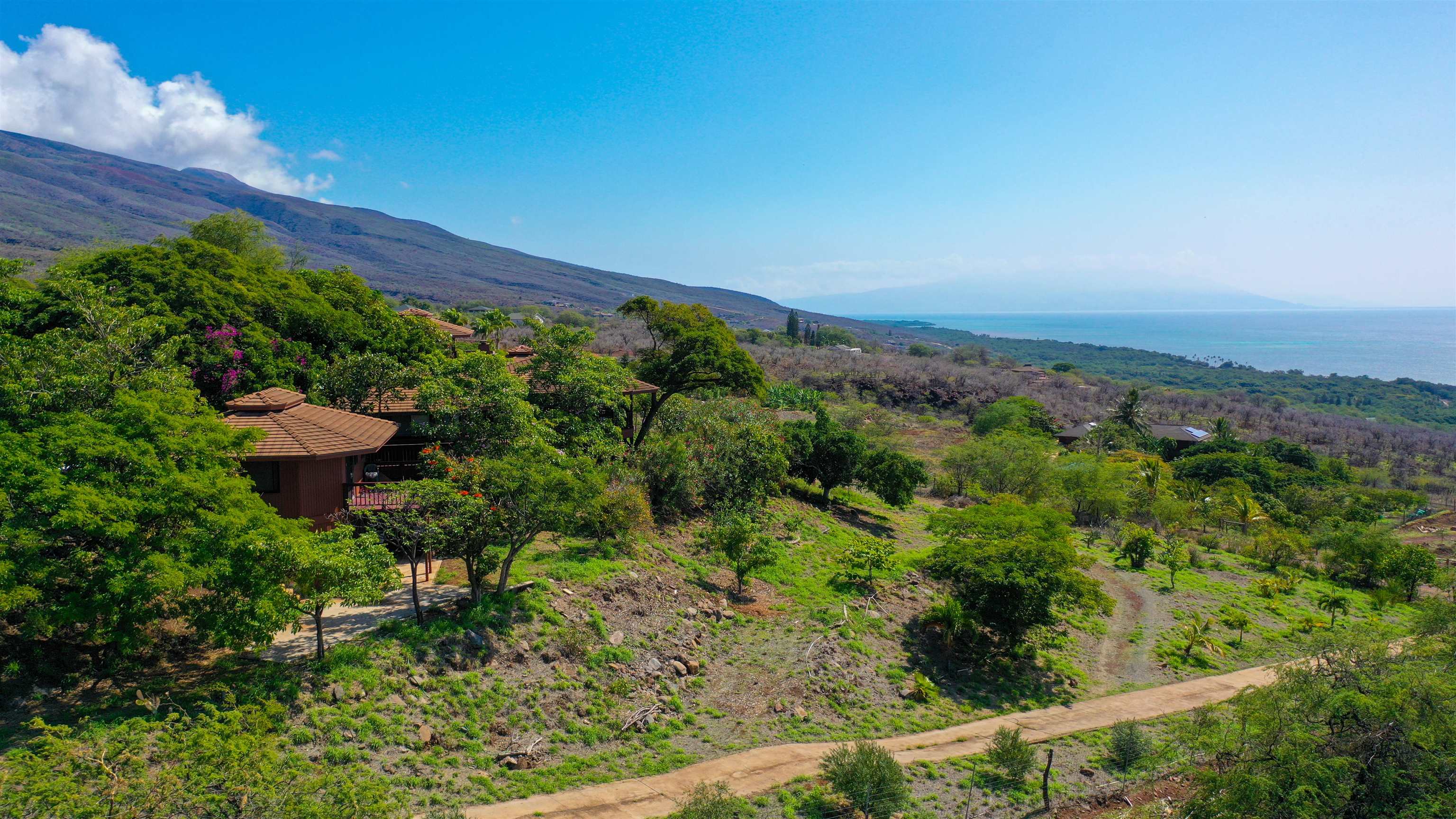 441  Uluanui Rd , Molokai home - photo 38 of 47