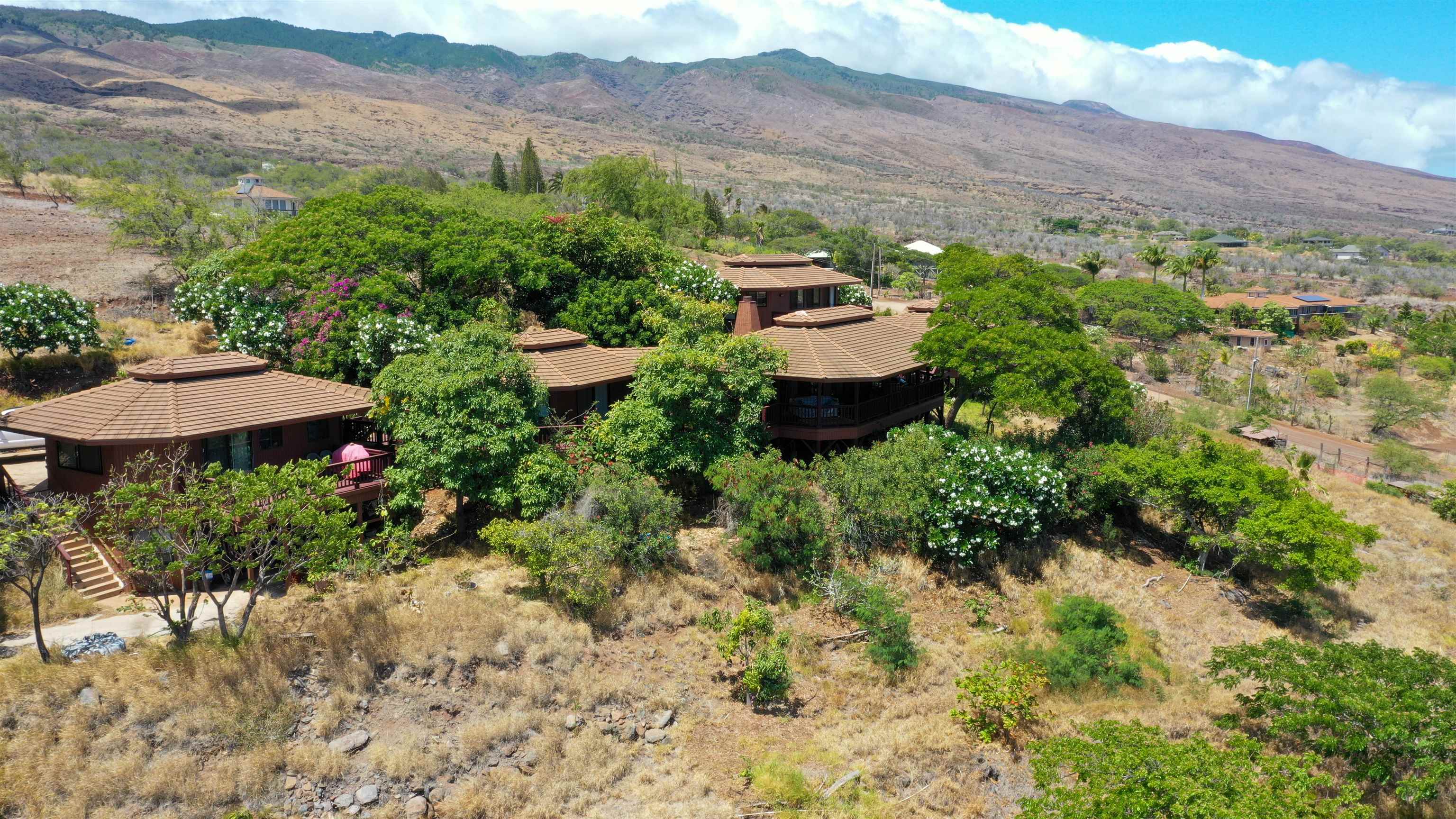 441  Uluanui Rd , Molokai home - photo 44 of 46