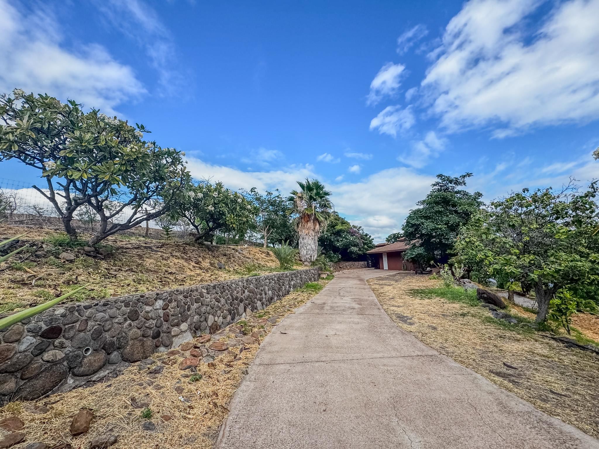441  Uluanui Rd , Molokai home - photo 6 of 47