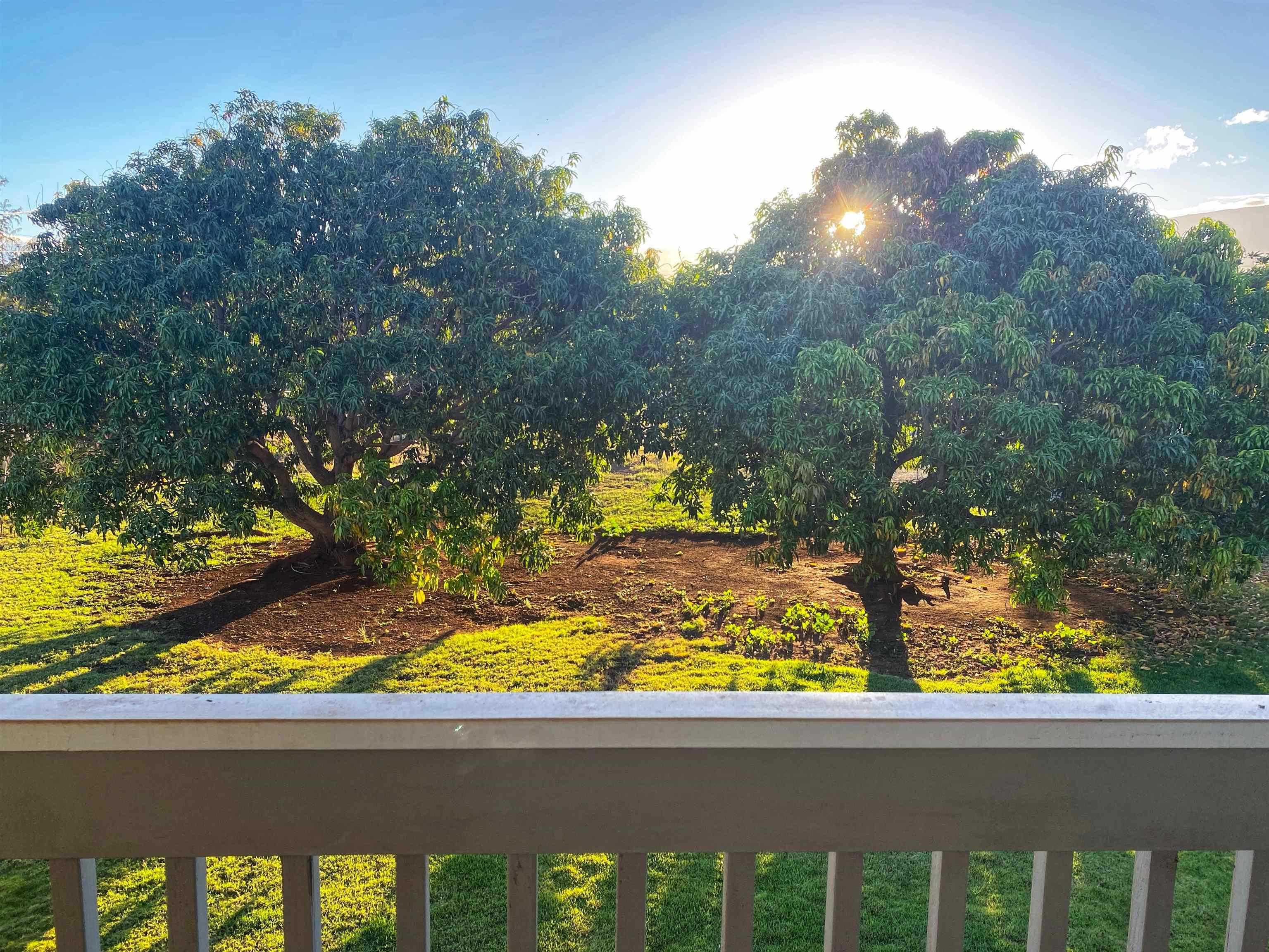 442  Kenolio Rd , Kihei home - photo 20 of 30