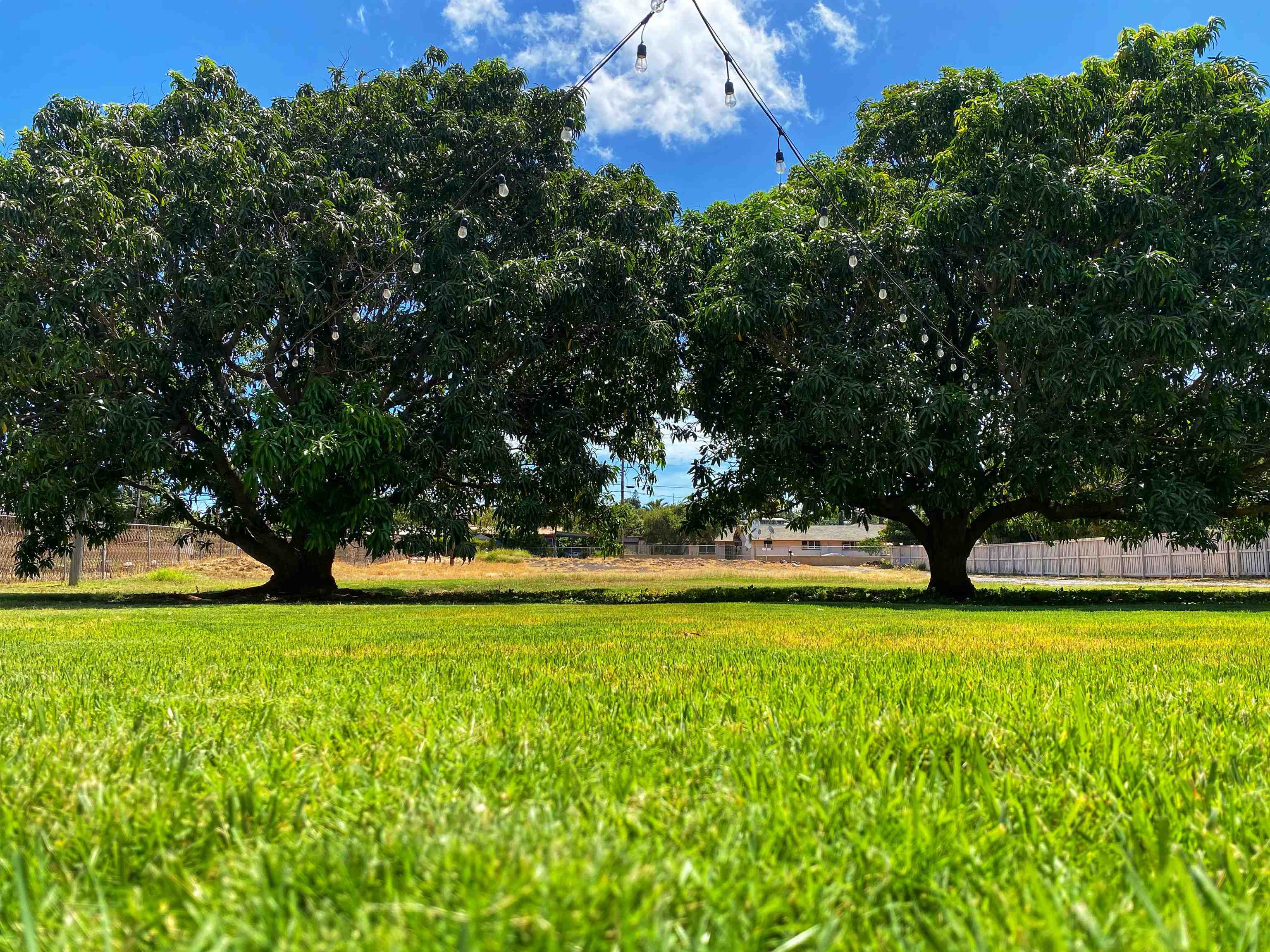 442  Kenolio Rd , Kihei home - photo 24 of 34