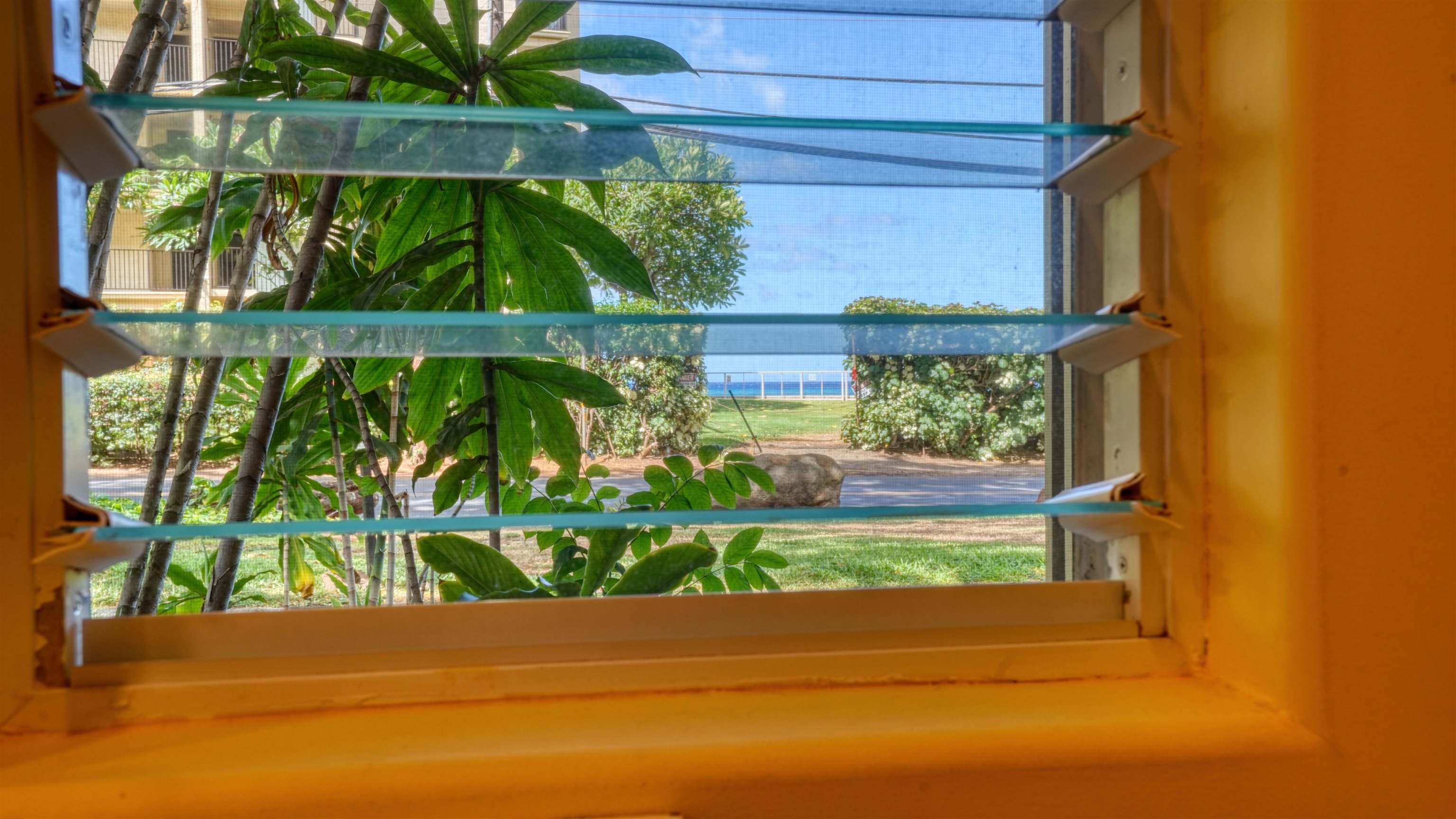 Pohailani Maui condo # 119, Lahaina, Hawaii - photo 47 of 50