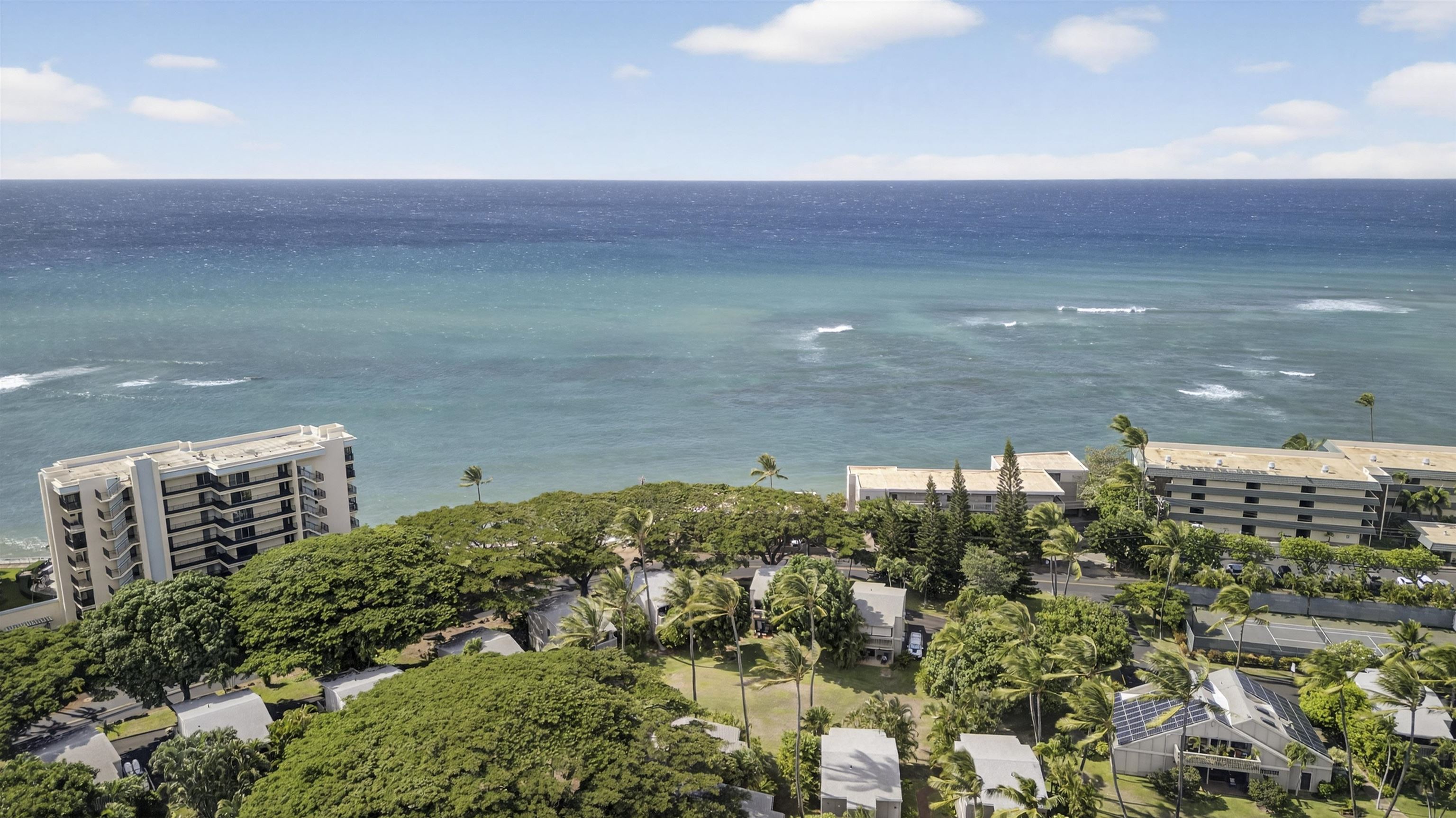 Pohailani Maui condo # 111, Lahaina, Hawaii - photo 40 of 50