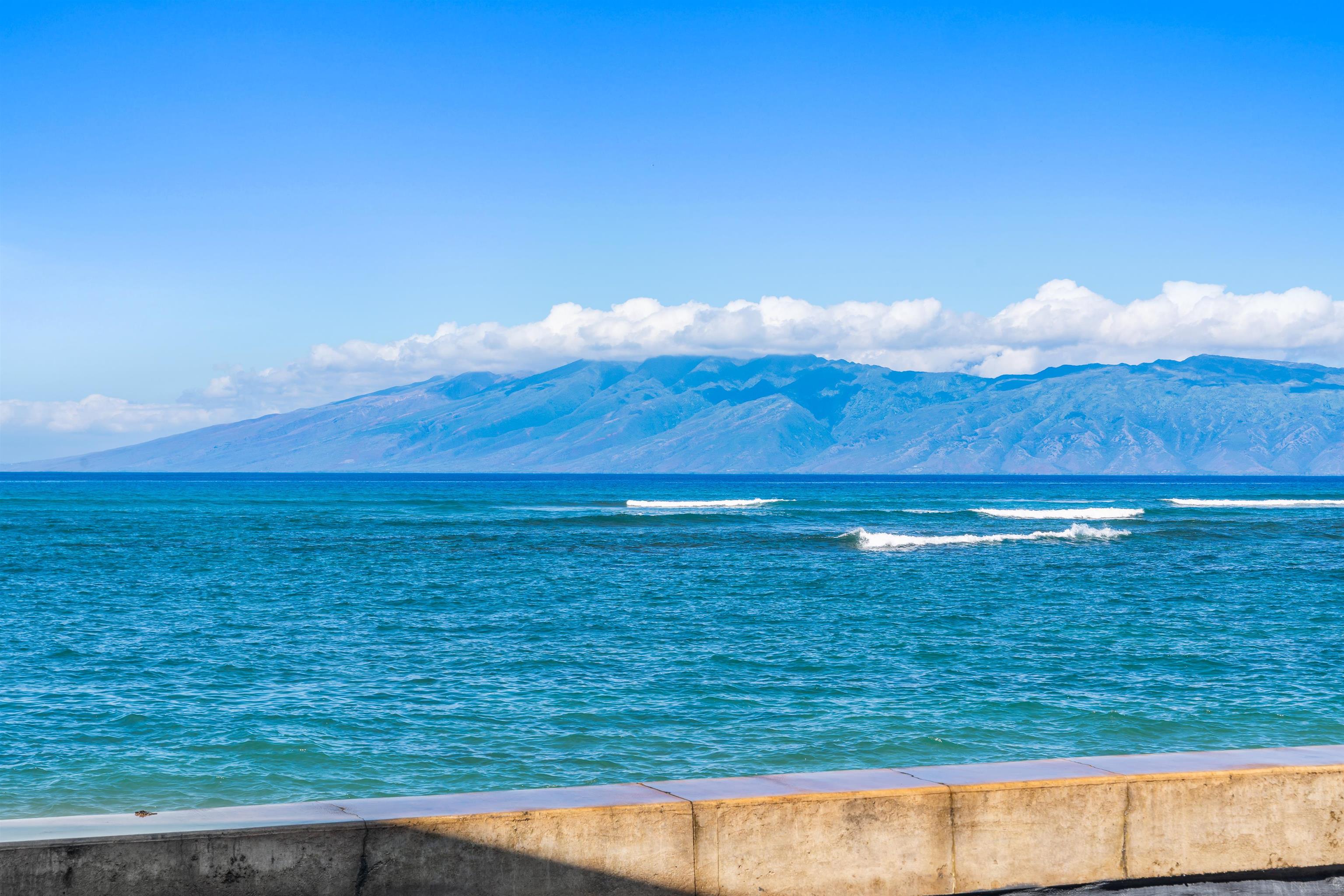 Pohailani Maui condo # 112, Lahaina, Hawaii - photo 13 of 23