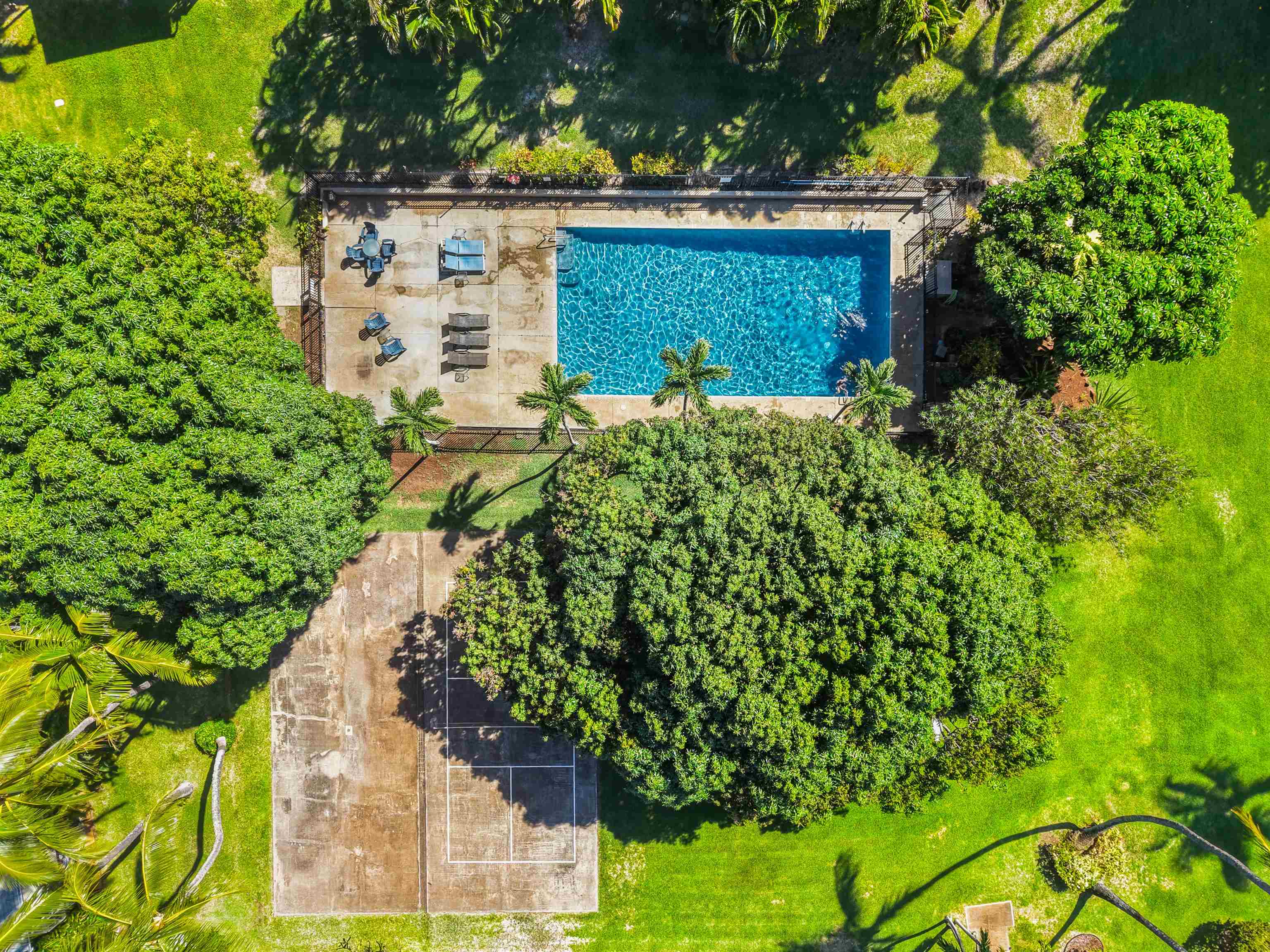 Pohailani Maui condo # 112, Lahaina, Hawaii - photo 16 of 23