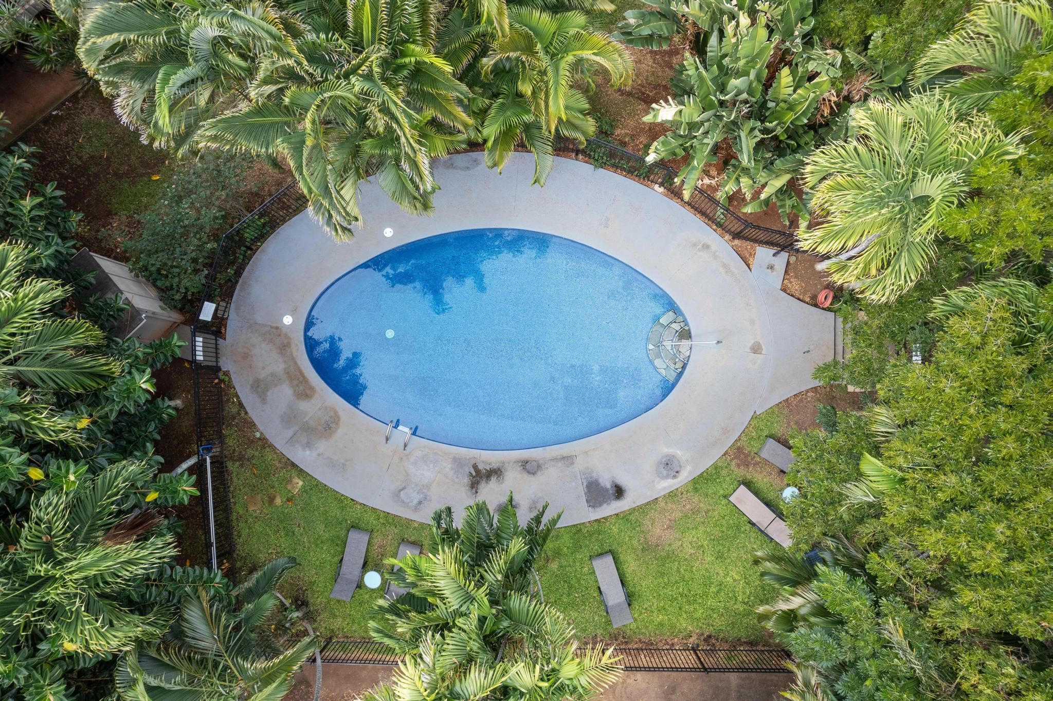 Pohailani Maui condo # 125, Lahaina, Hawaii - photo 39 of 46