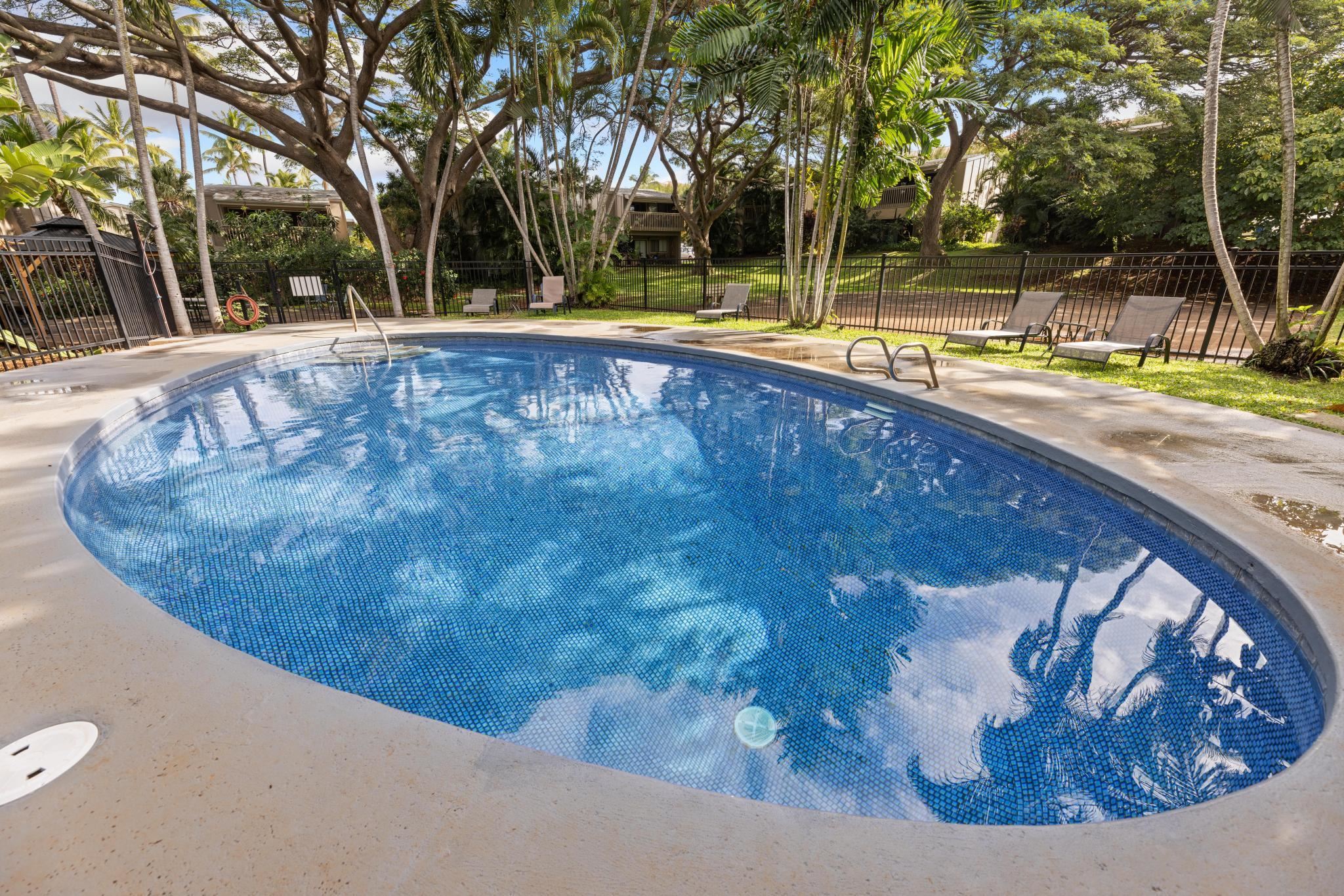 Pohailani Maui condo # 125, Lahaina, Hawaii - photo 40 of 46