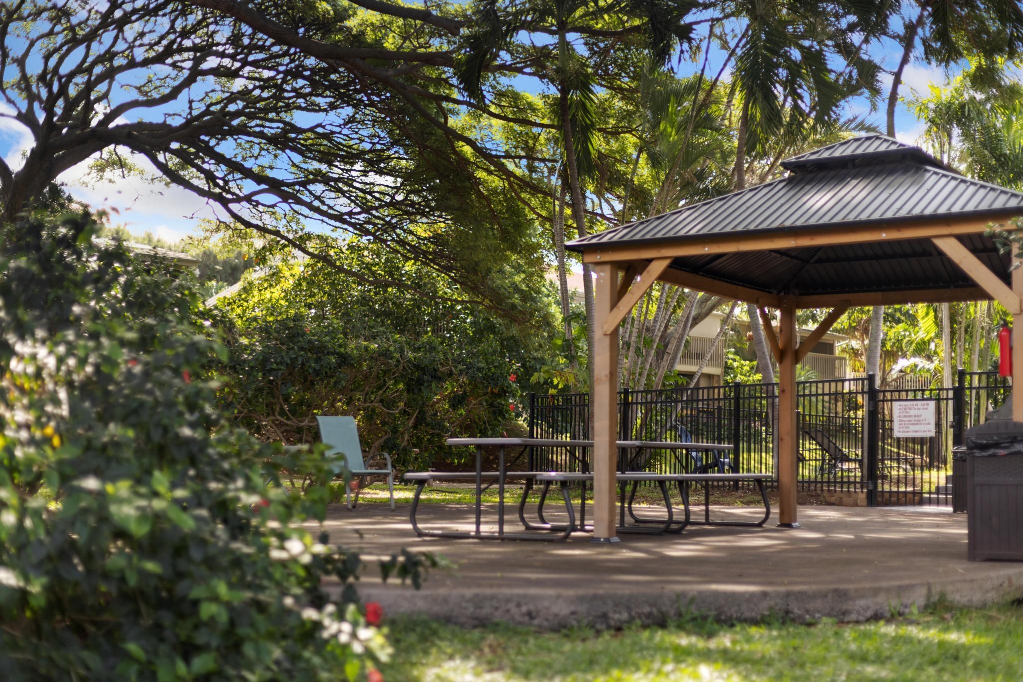 Pohailani Maui condo # 125, Lahaina, Hawaii - photo 41 of 46