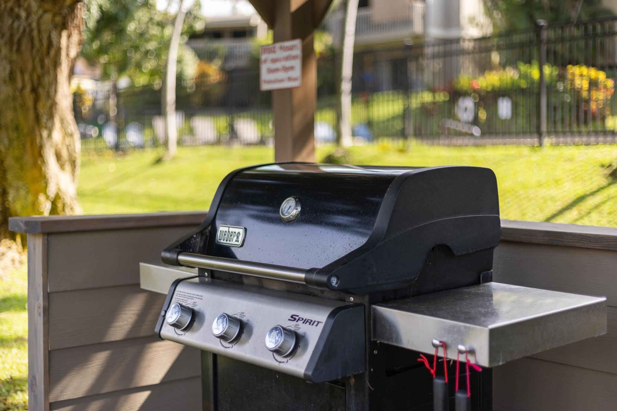 Pohailani Maui condo # 125, Lahaina, Hawaii - photo 42 of 46