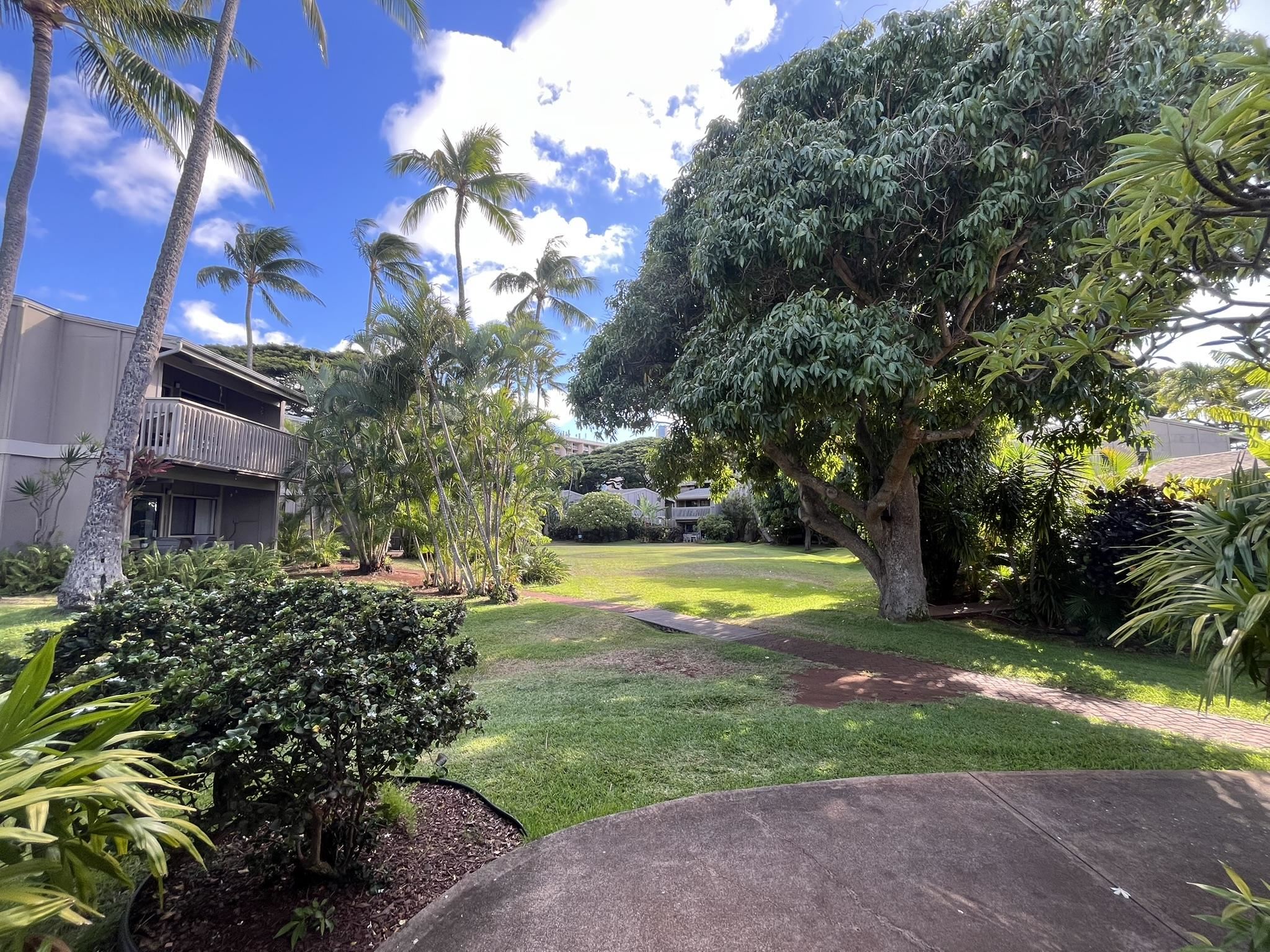 Pohailani Maui condo # 125, Lahaina, Hawaii - photo 27 of 31