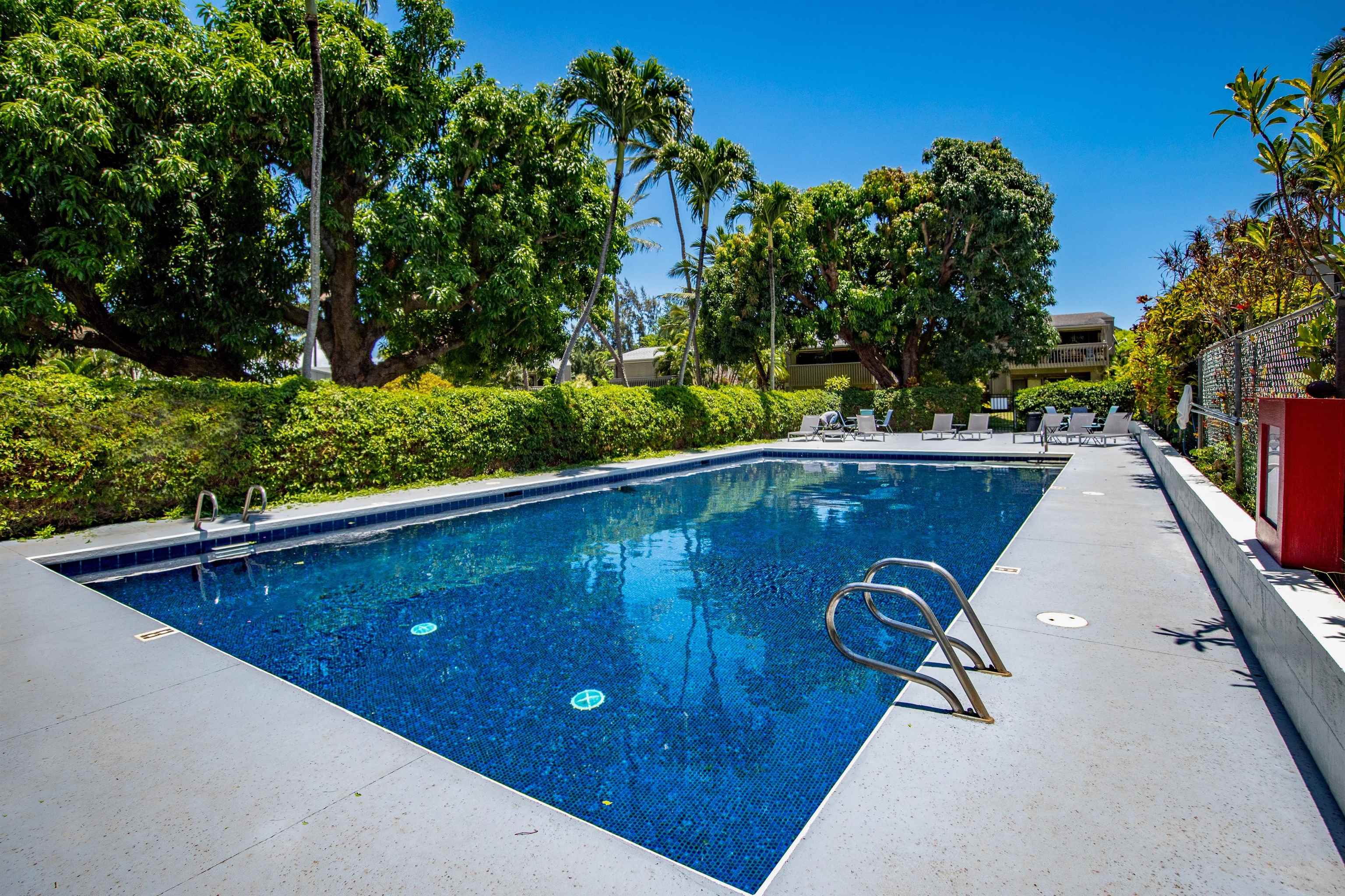 Pohailani Maui condo # 136, Lahaina, Hawaii - photo 22 of 28