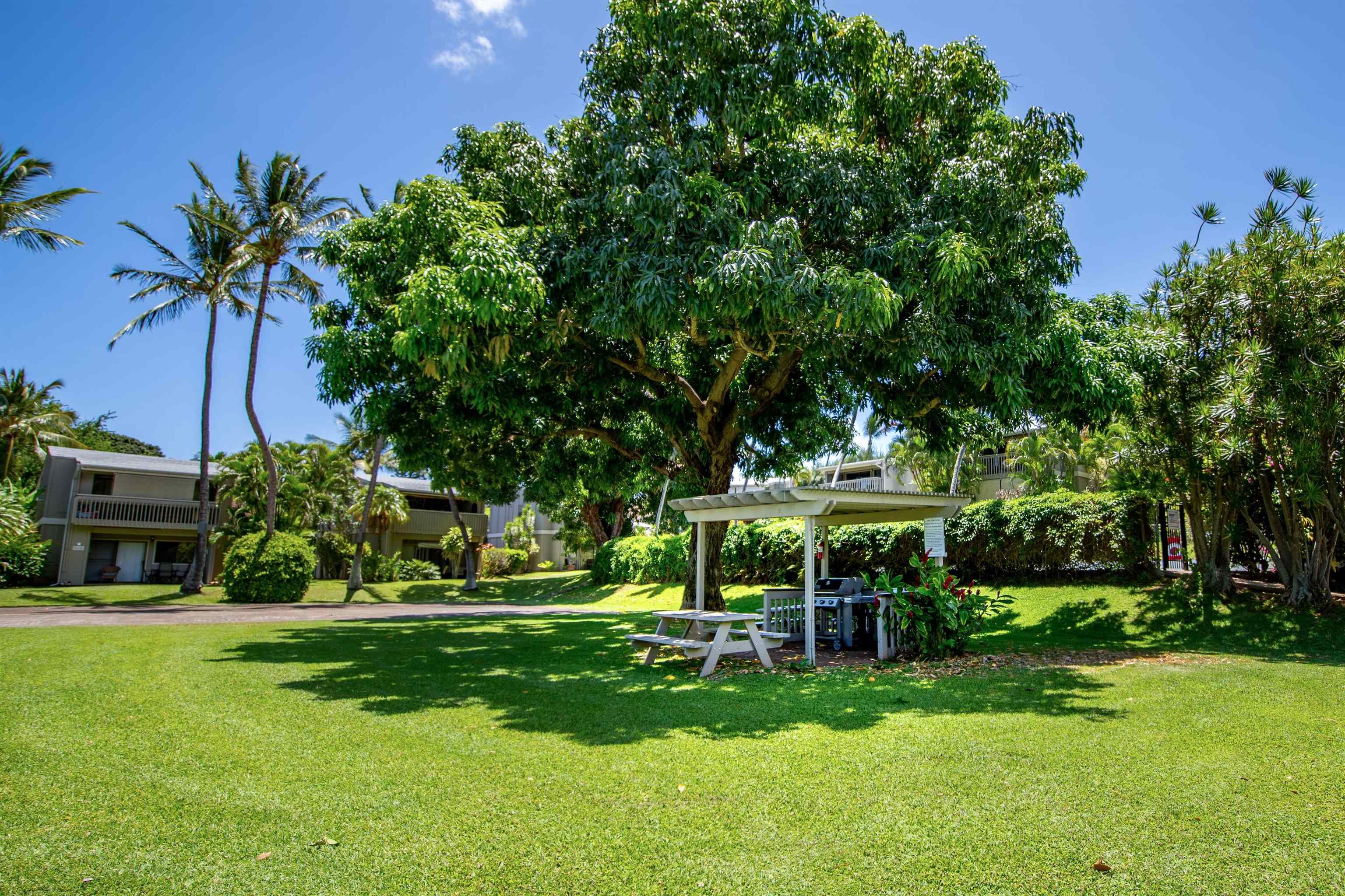 Pohailani Maui condo # 136, Lahaina, Hawaii - photo 25 of 28