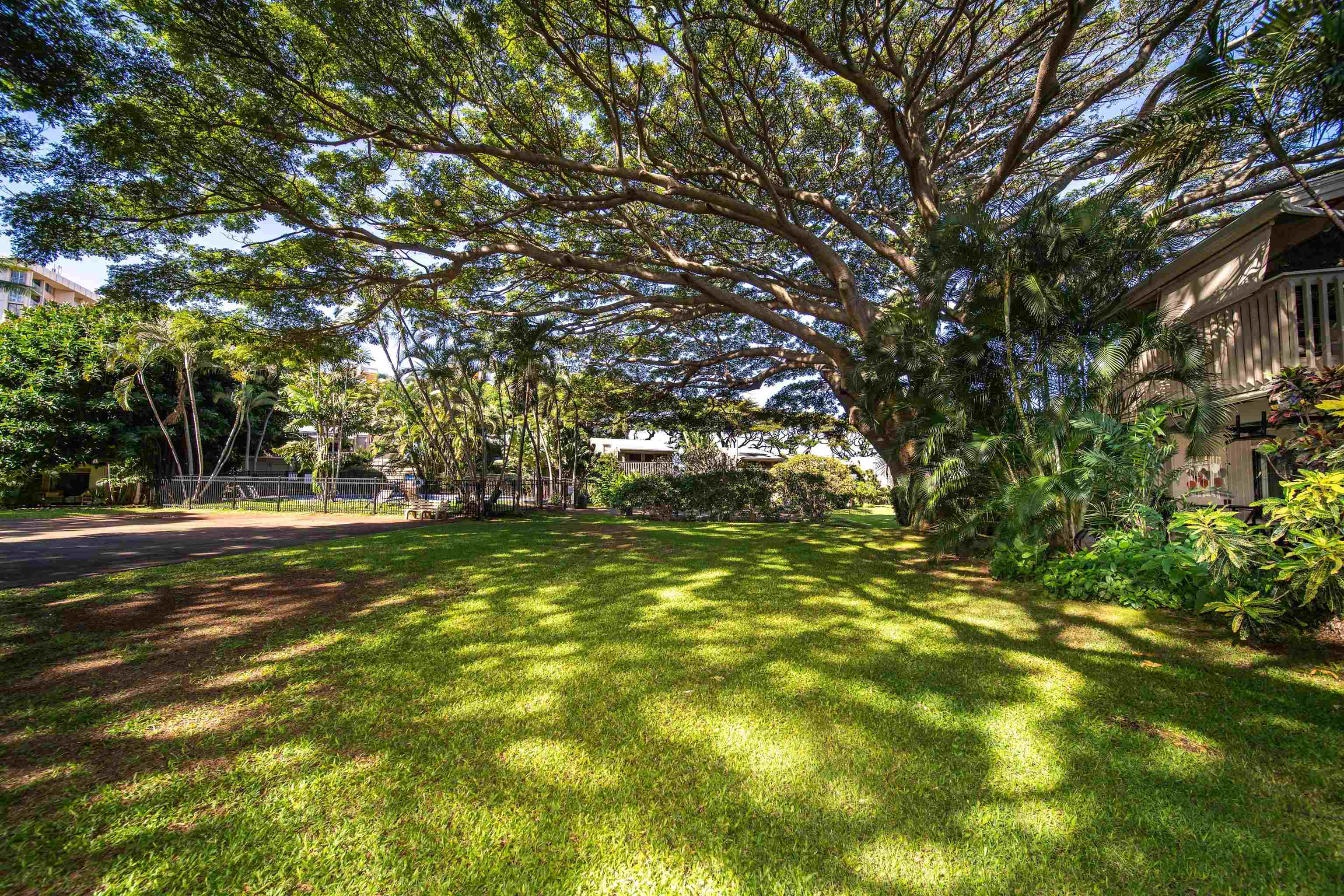 Pohailani Maui condo # 136, Lahaina, Hawaii - photo 27 of 28