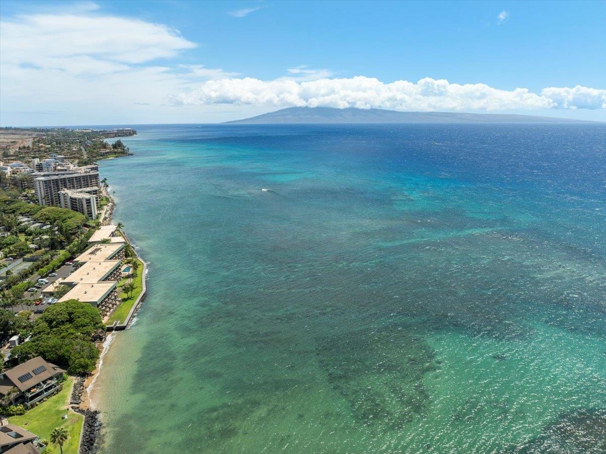 Pohailani Maui condo # 142, Lahaina, Hawaii - photo 2 of 44