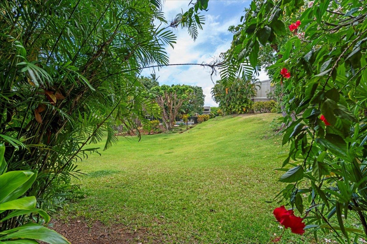 Pohailani Maui condo # 142, Lahaina, Hawaii - photo 27 of 44