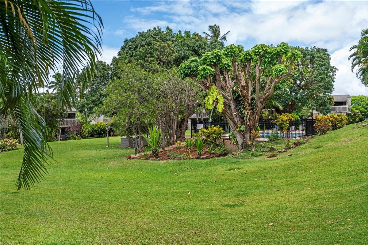 Pohailani Maui condo # 142, Lahaina, Hawaii - photo 28 of 44