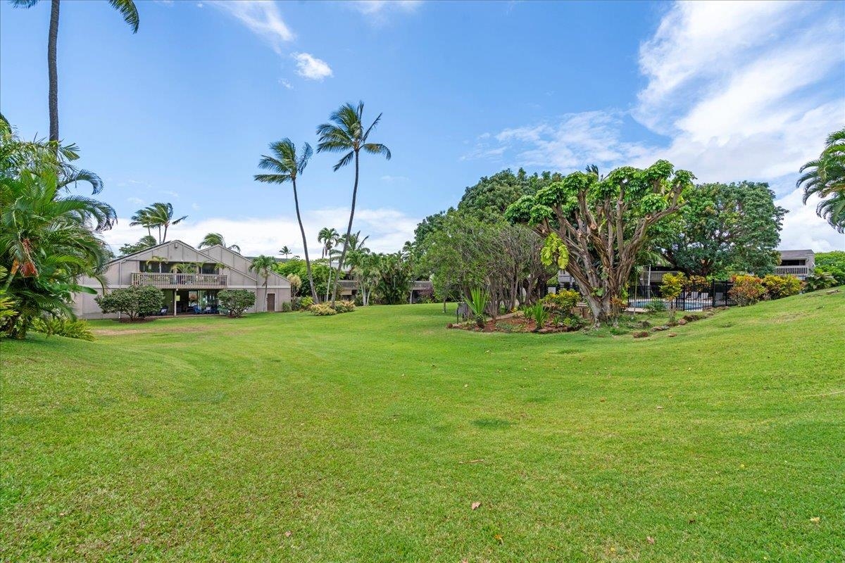 Pohailani Maui condo # 142, Lahaina, Hawaii - photo 29 of 44