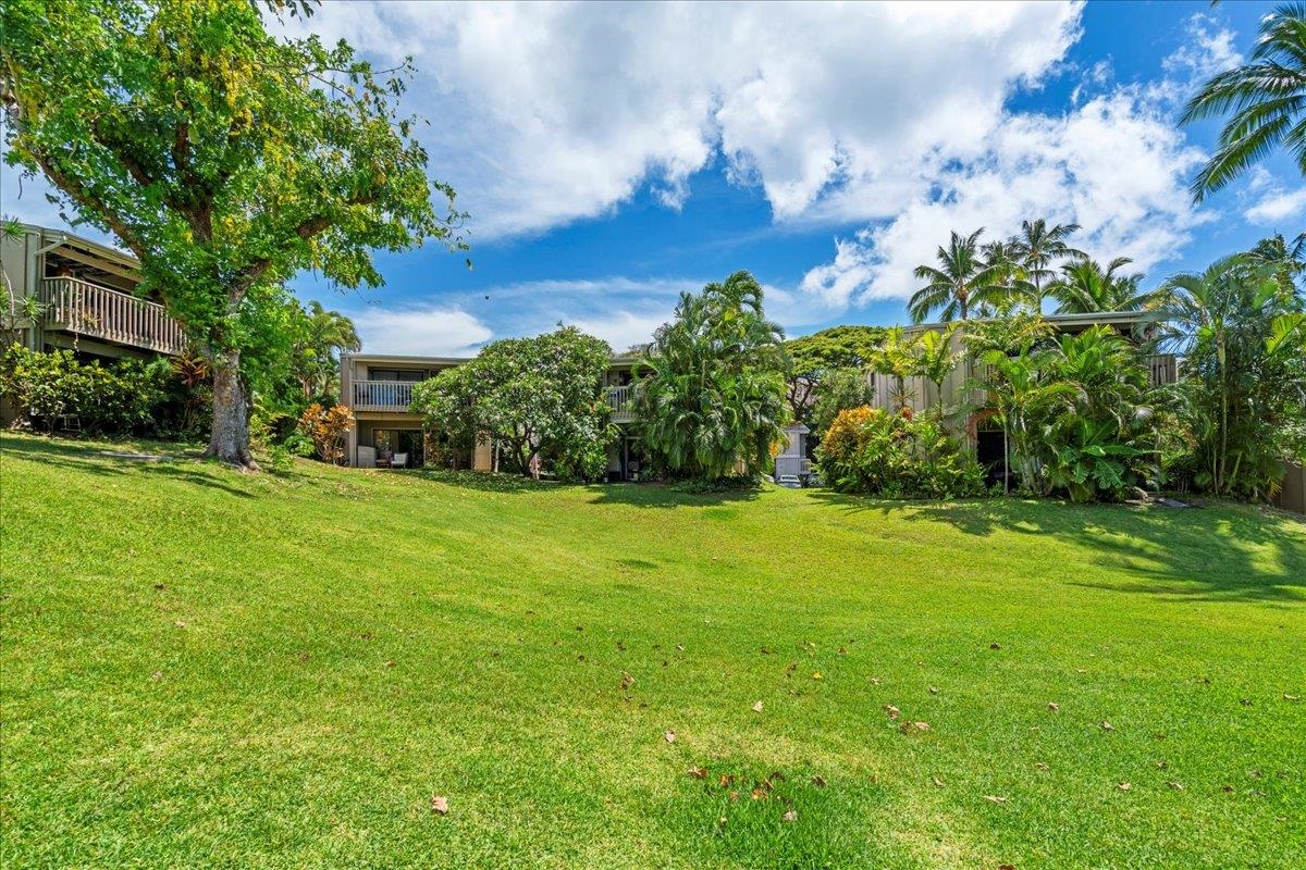 Pohailani Maui condo # 142, Lahaina, Hawaii - photo 30 of 44