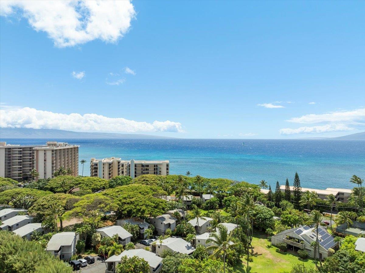 Pohailani Maui condo # 142, Lahaina, Hawaii - photo 5 of 44