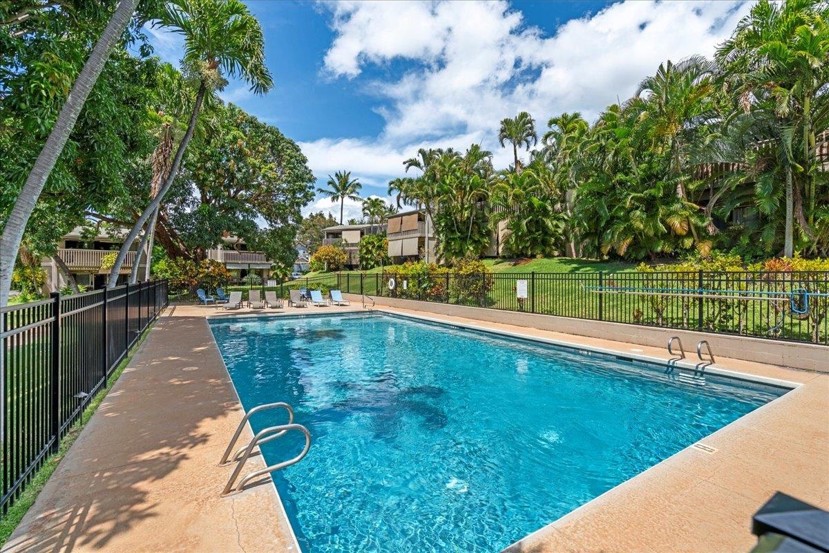 Pohailani Maui condo # 142, Lahaina, Hawaii - photo 43 of 44