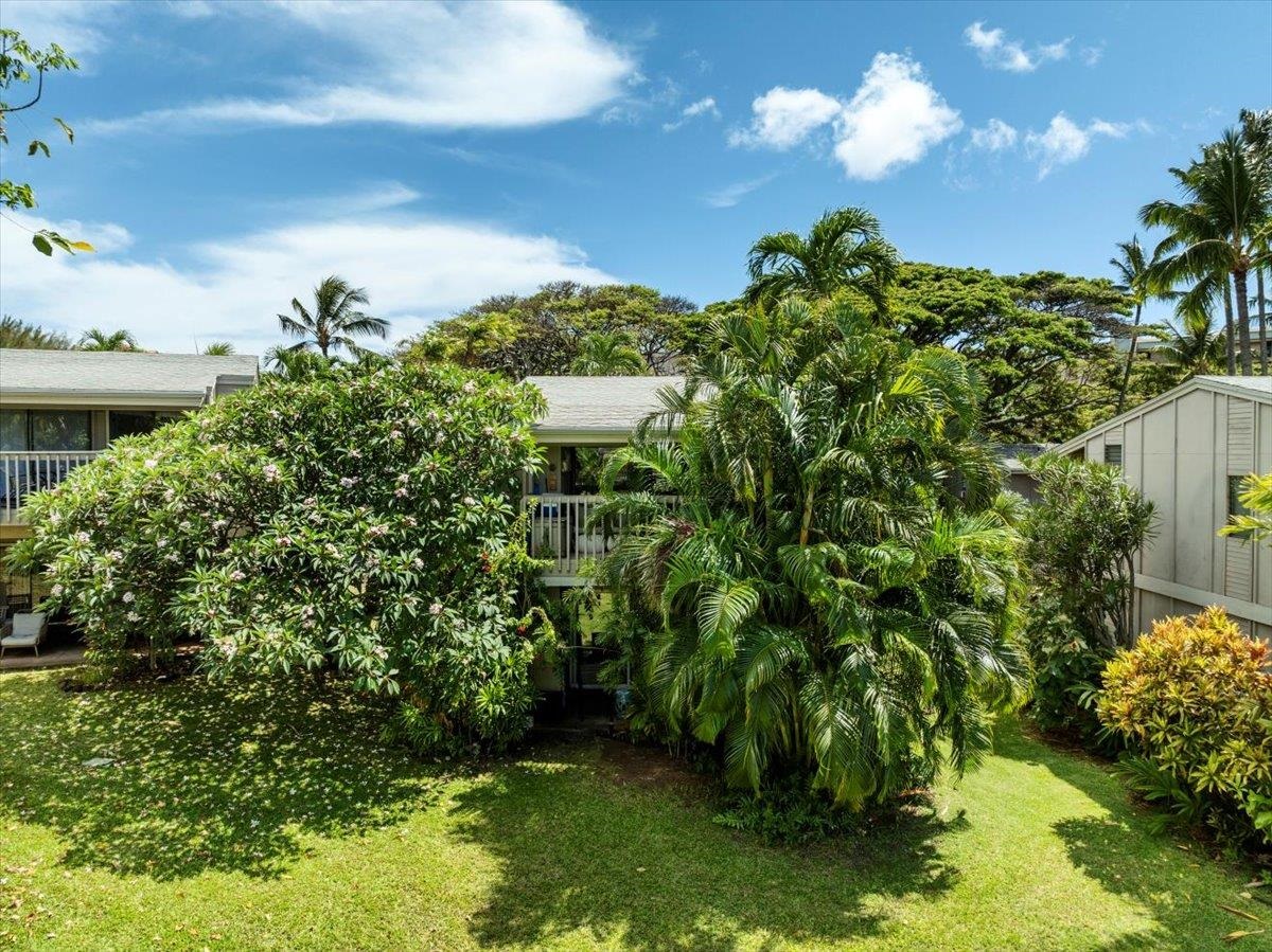 Pohailani Maui condo # 142, Lahaina, Hawaii - photo 10 of 44