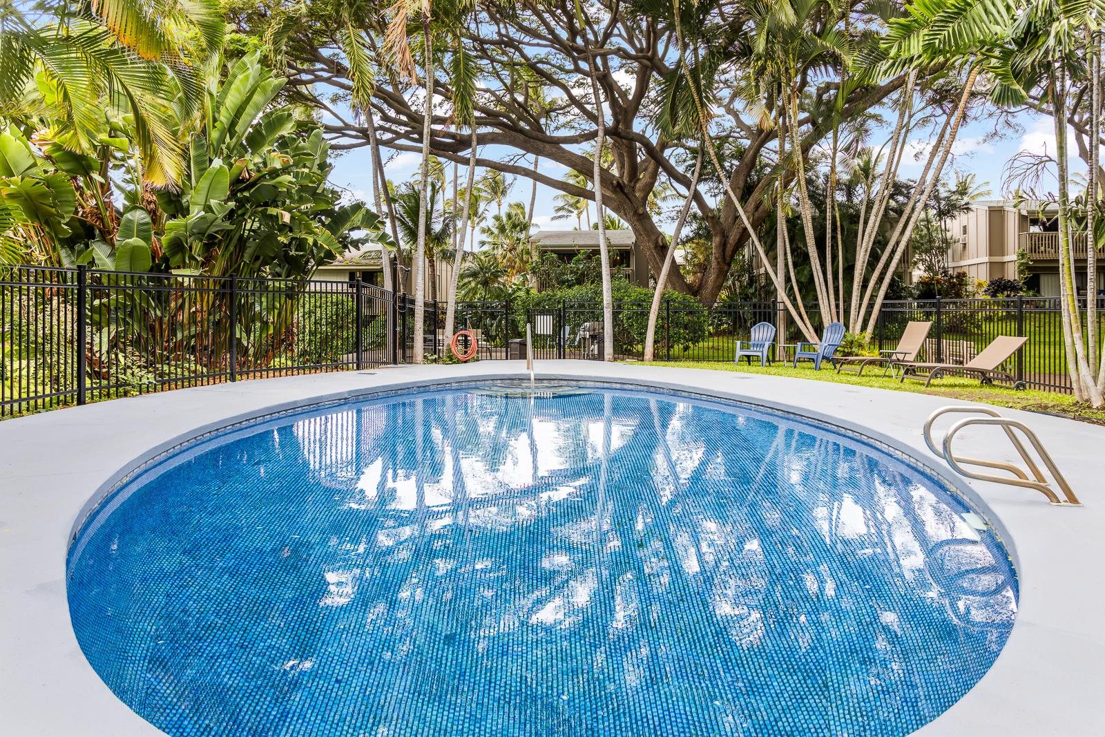 Pohailani Maui condo # 204, Lahaina, Hawaii - photo 20 of 20