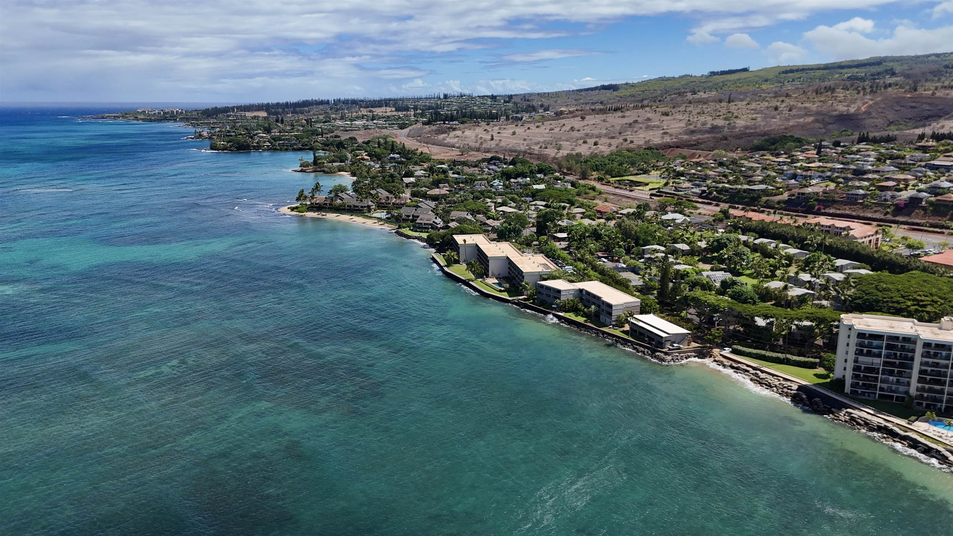 Pohailani Maui condo # 204, Lahaina, Hawaii - photo 19 of 26