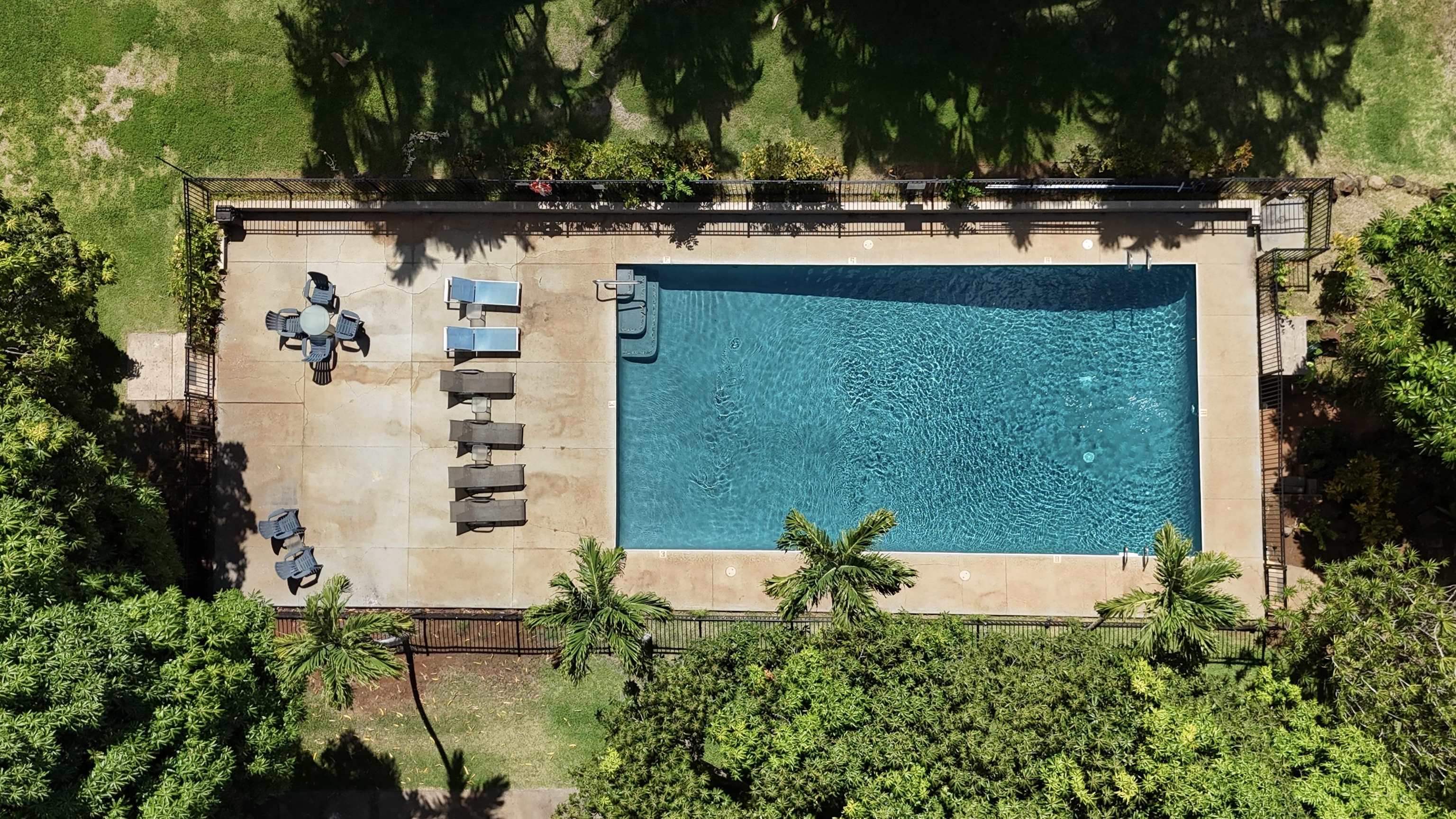 Pohailani Maui condo # 204, Lahaina, Hawaii - photo 23 of 26