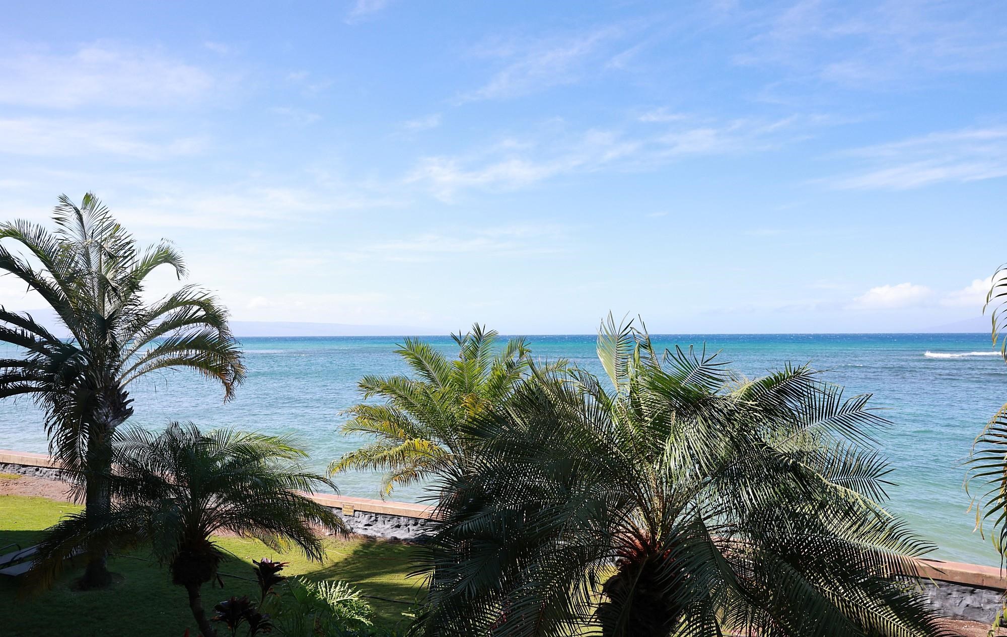 Pohailani Maui condo # 205, Lahaina, Hawaii - photo 21 of 26