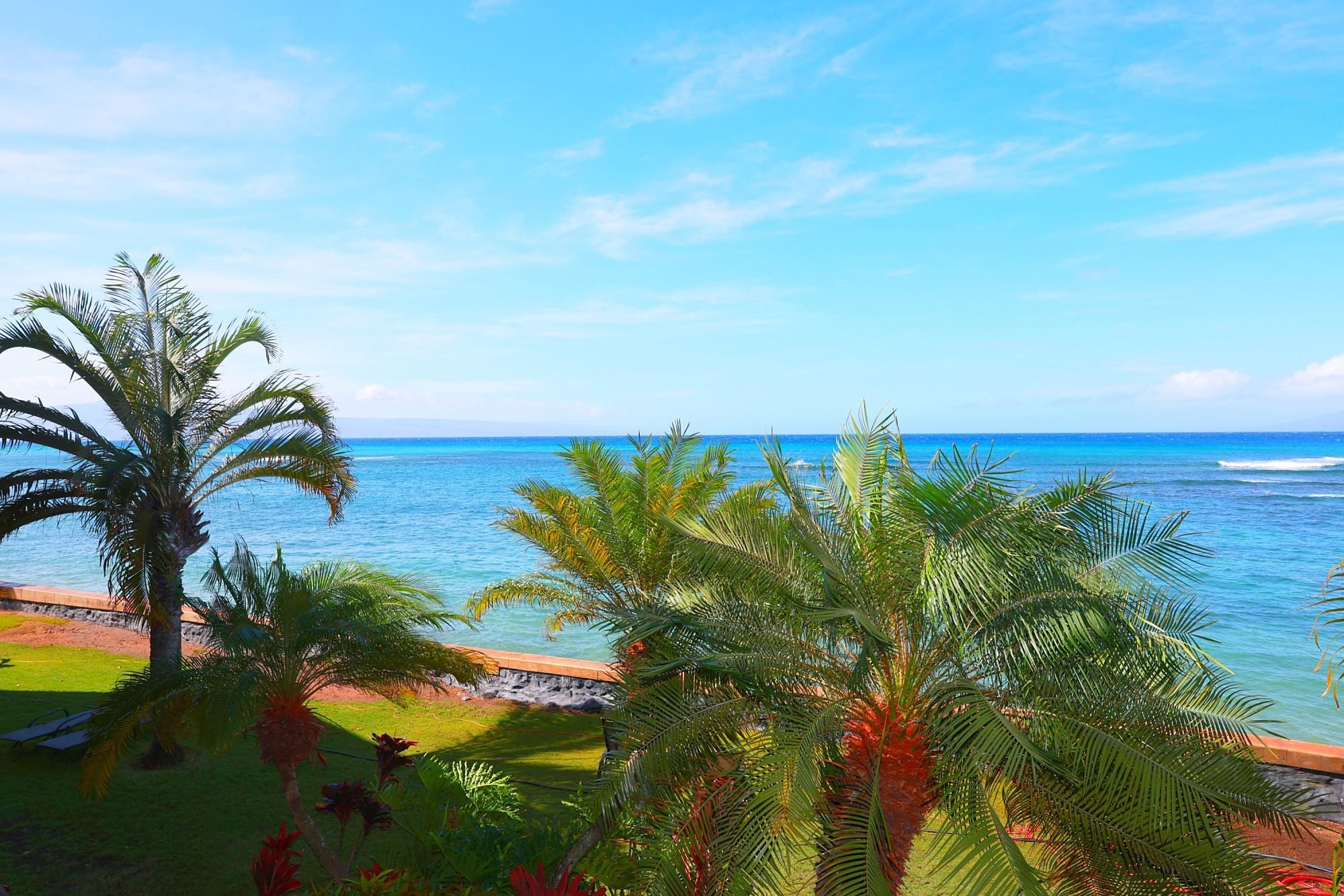 Pohailani Maui condo # 205, Lahaina, Hawaii - photo 7 of 26