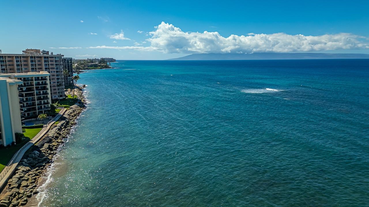 Pohailani Maui condo # 212, Lahaina, Hawaii - photo 24 of 36