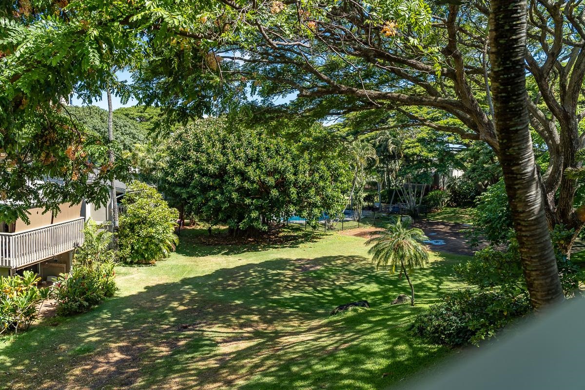 Pohailani Maui condo # 229, Lahaina, Hawaii - photo 29 of 46