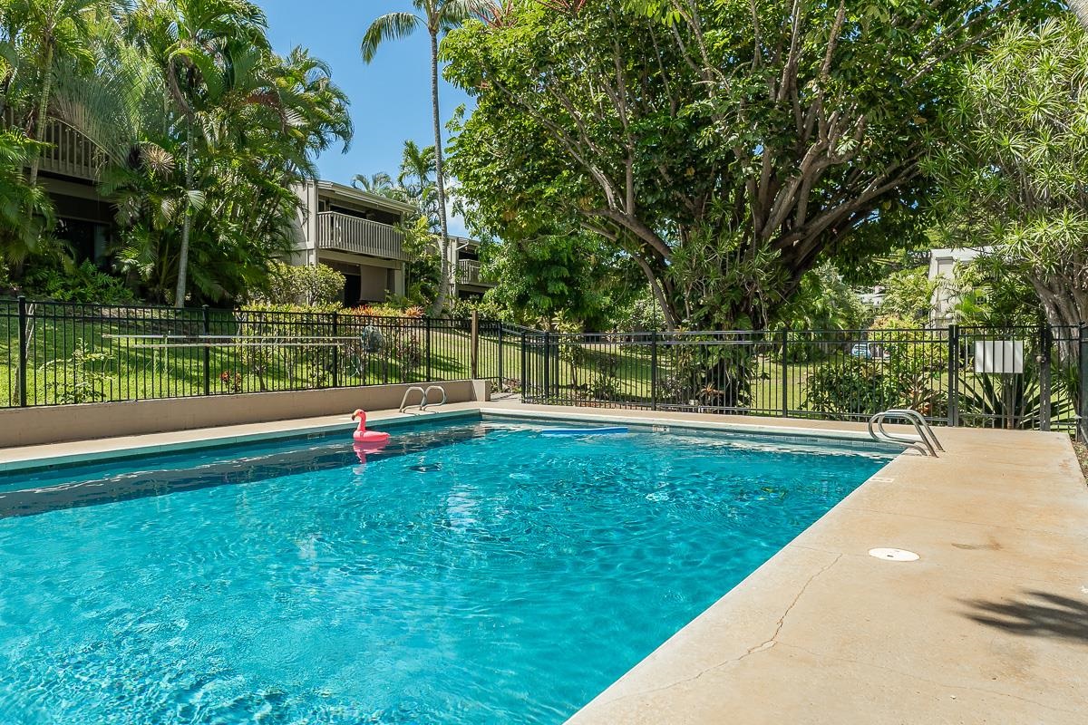 Pohailani Maui condo # 229, Lahaina, Hawaii - photo 35 of 46