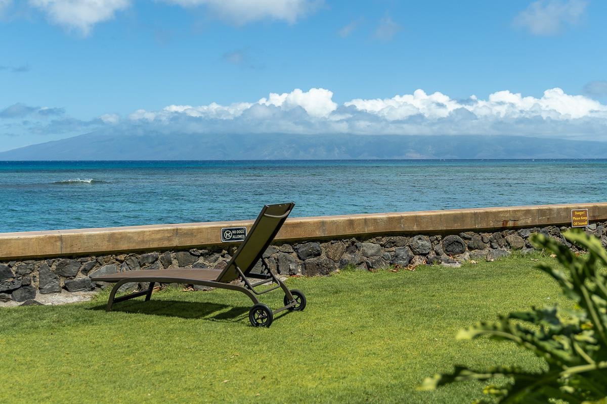 Pohailani Maui condo # 229, Lahaina, Hawaii - photo 40 of 46