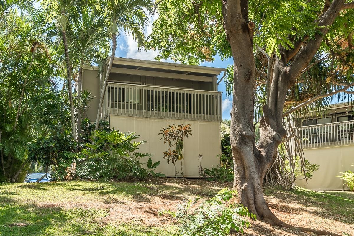 Pohailani Maui condo # 229, Lahaina, Hawaii - photo 41 of 46