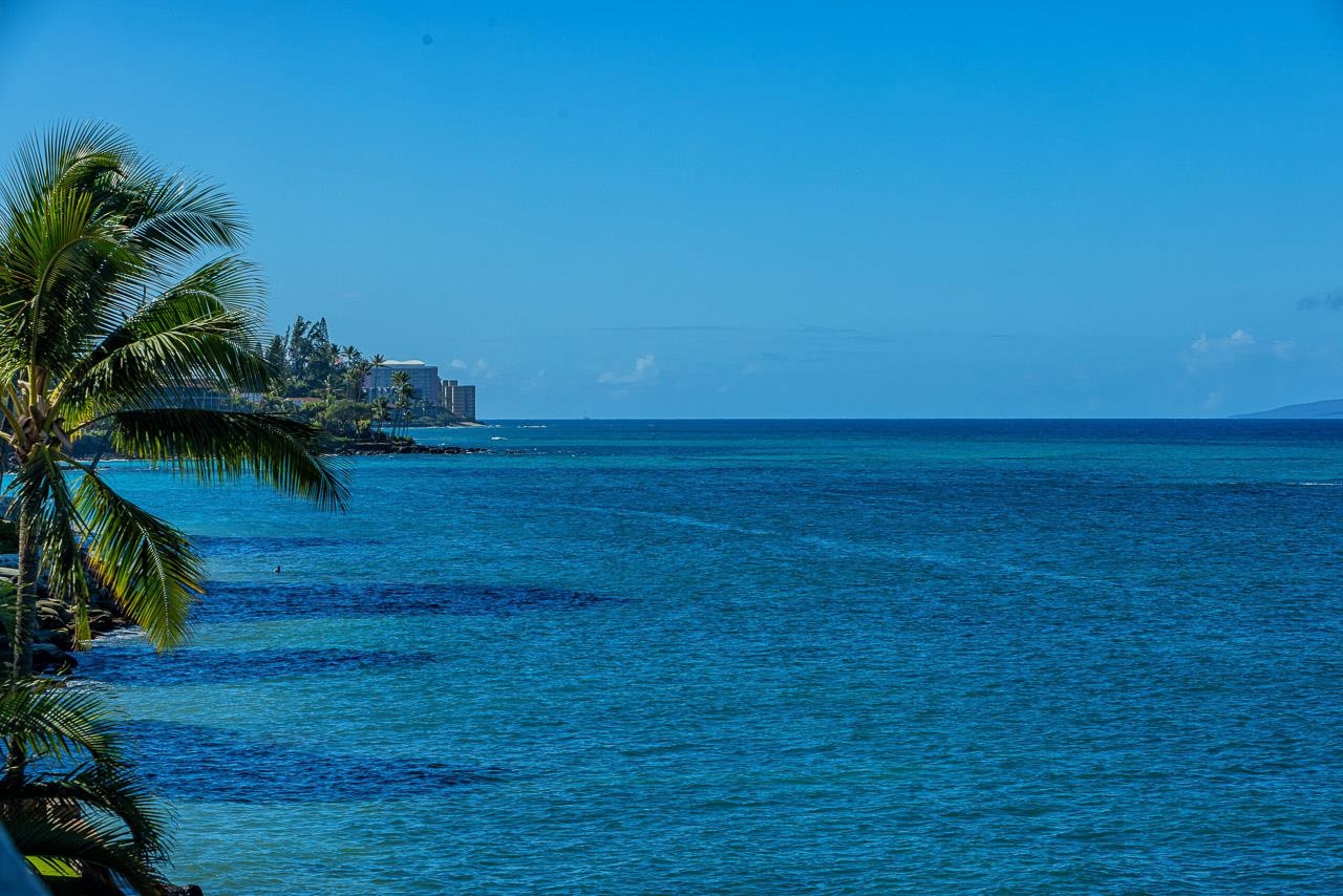 Pohailani Maui condo # 301, Lahaina, Hawaii - photo 17 of 49