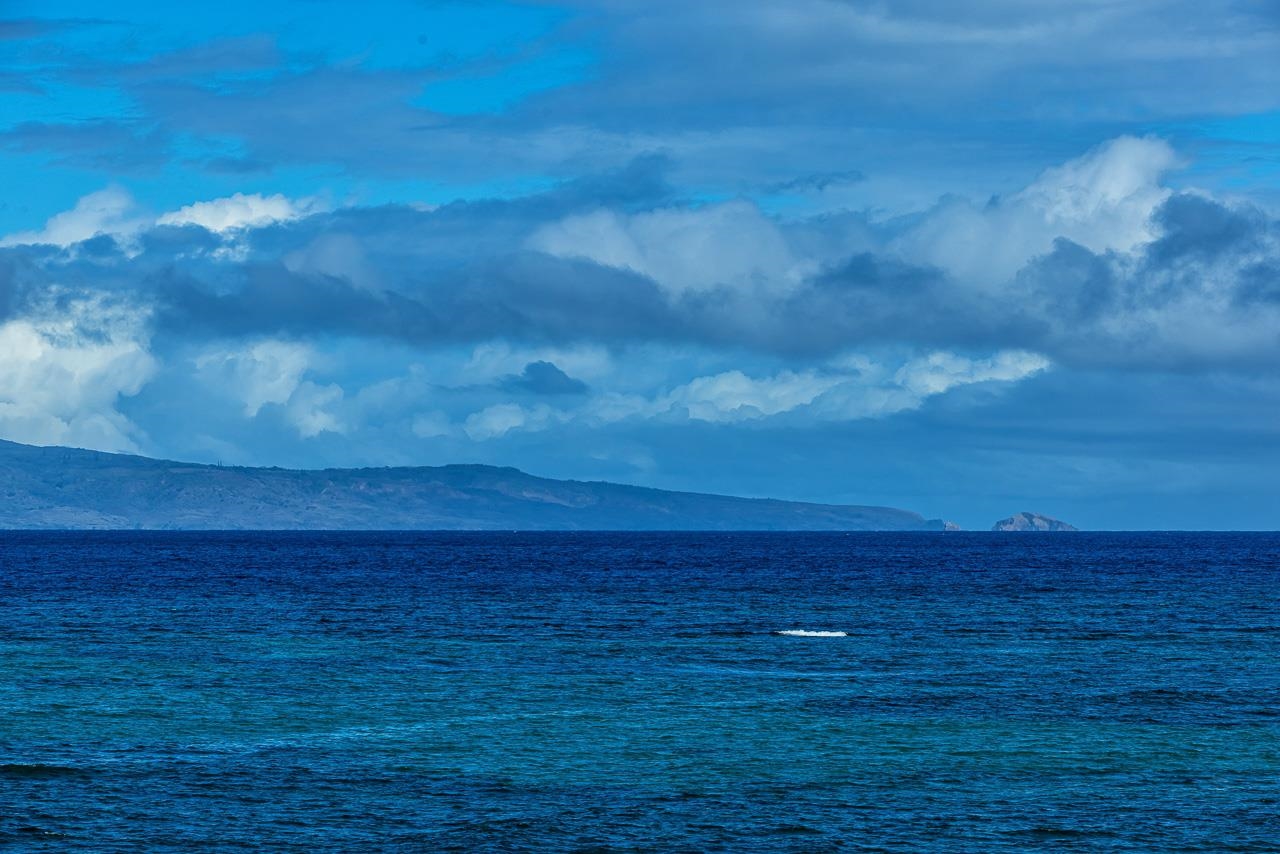Pohailani Maui condo # 301, Lahaina, Hawaii - photo 18 of 49