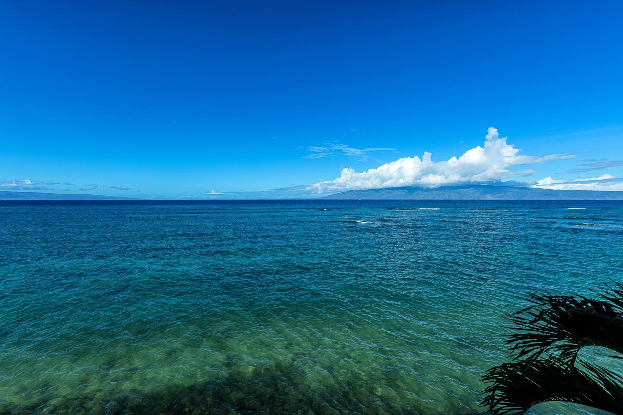 Pohailani Maui condo # 301, Lahaina, Hawaii - photo 20 of 49