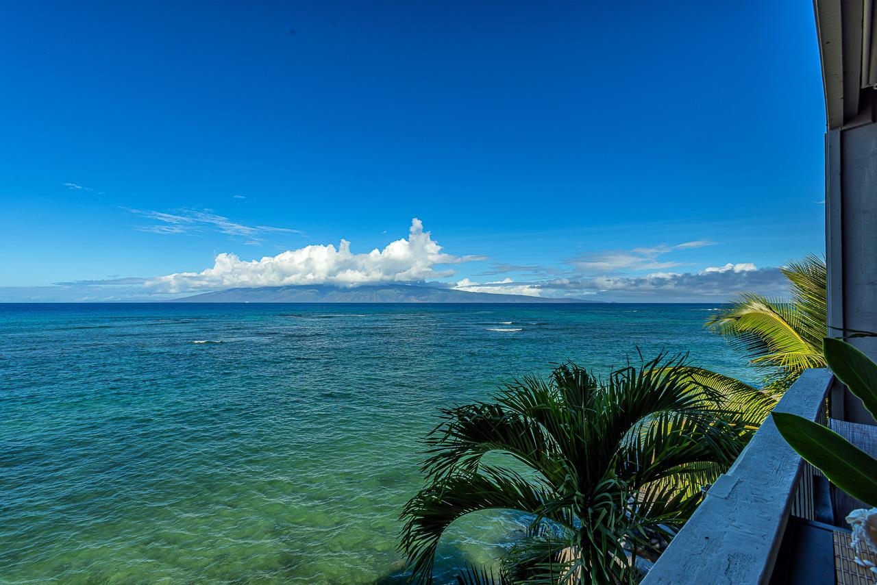 Pohailani Maui condo # 301, Lahaina, Hawaii - photo 21 of 49