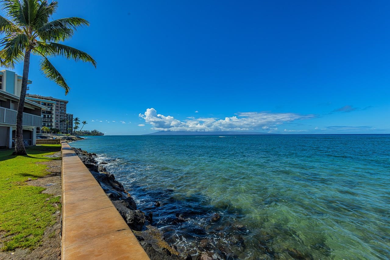 Pohailani Maui condo # 301, Lahaina, Hawaii - photo 25 of 49