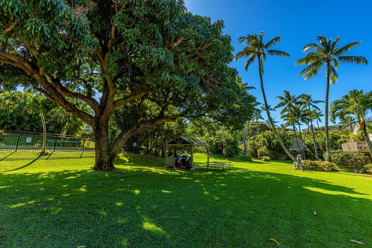 Pohailani Maui condo # 301, Lahaina, Hawaii - photo 30 of 49