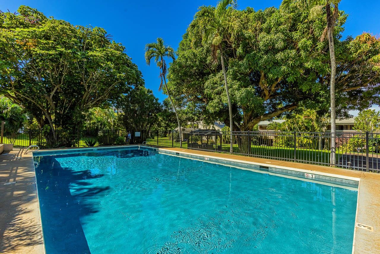 Pohailani Maui condo # 301, Lahaina, Hawaii - photo 33 of 49