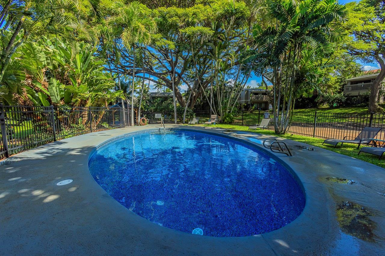 Pohailani Maui condo # 301, Lahaina, Hawaii - photo 38 of 49