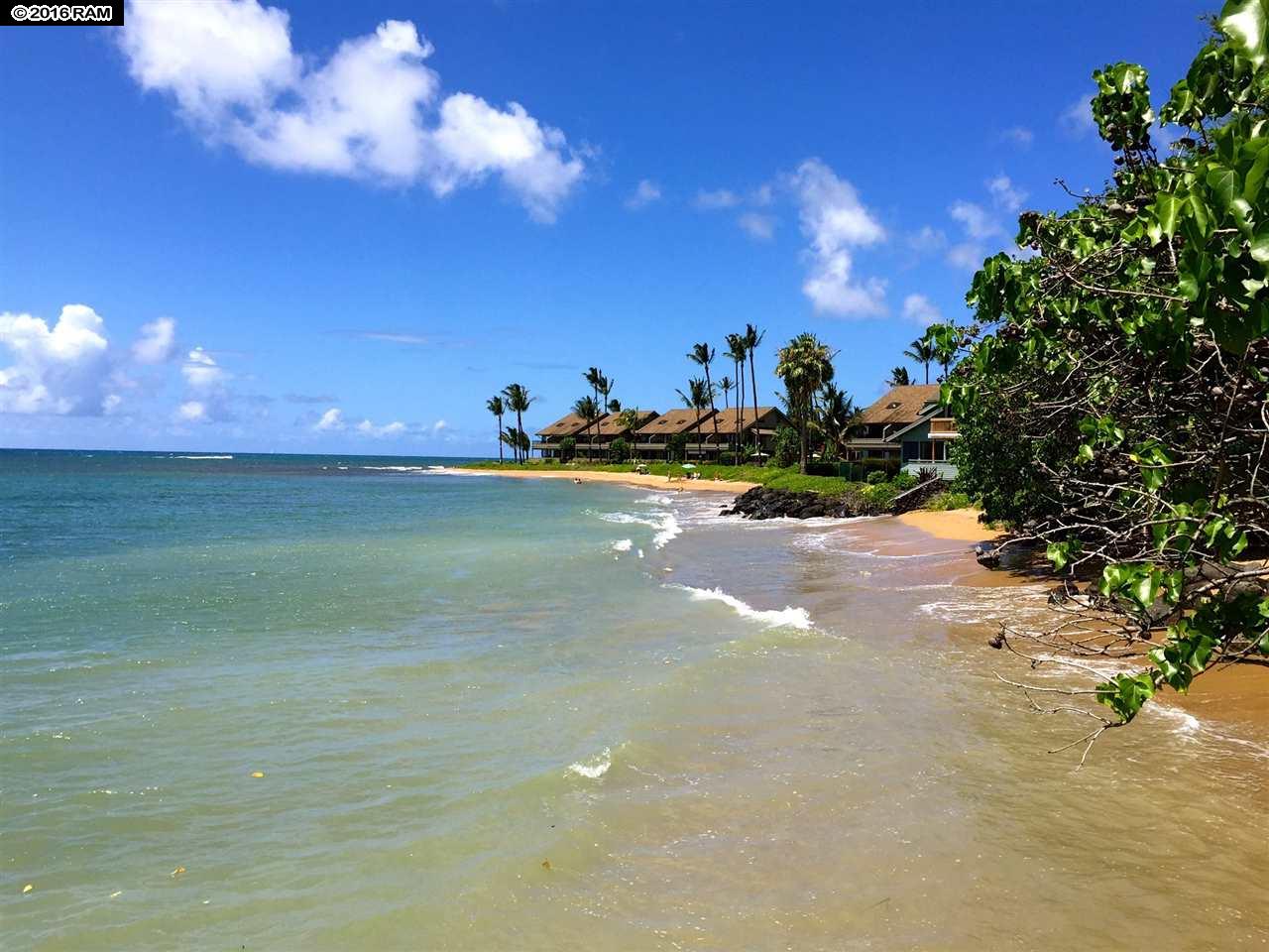 Pohailani Maui condo # 307, Lahaina, Hawaii - photo 11 of 12