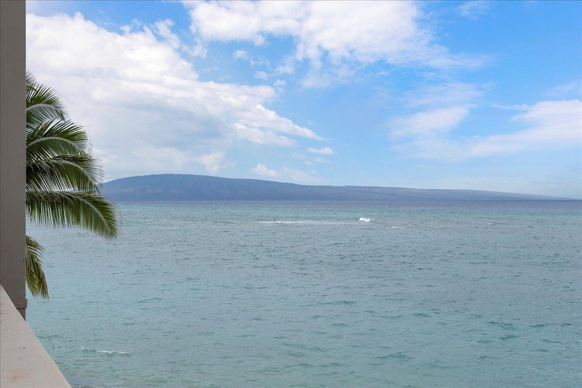 Pohailani Maui condo # 308, Lahaina, Hawaii - photo 42 of 47